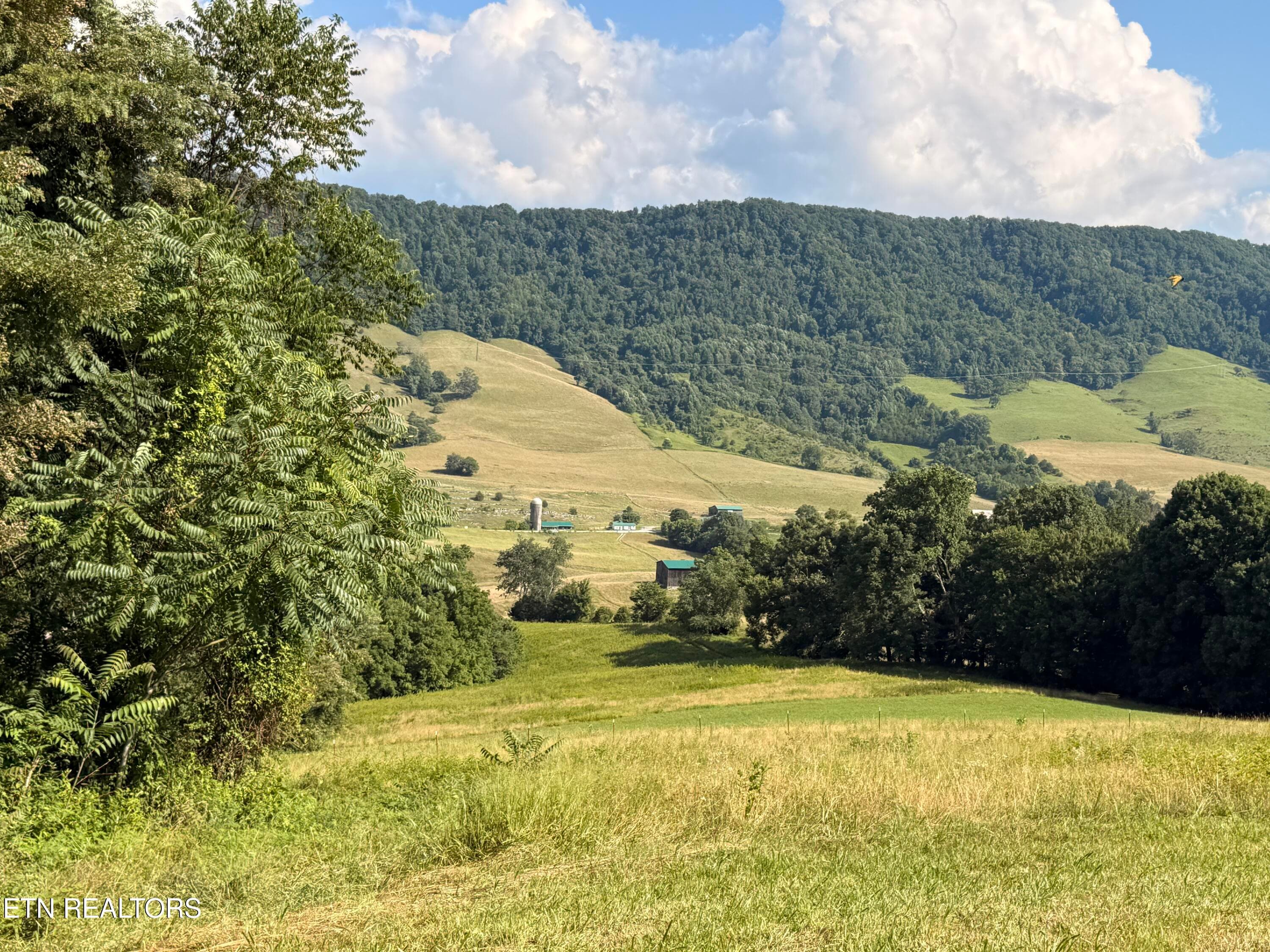 IMG_0903 - 4194 Little Sycamore Rd, Tazewell, TN 37879