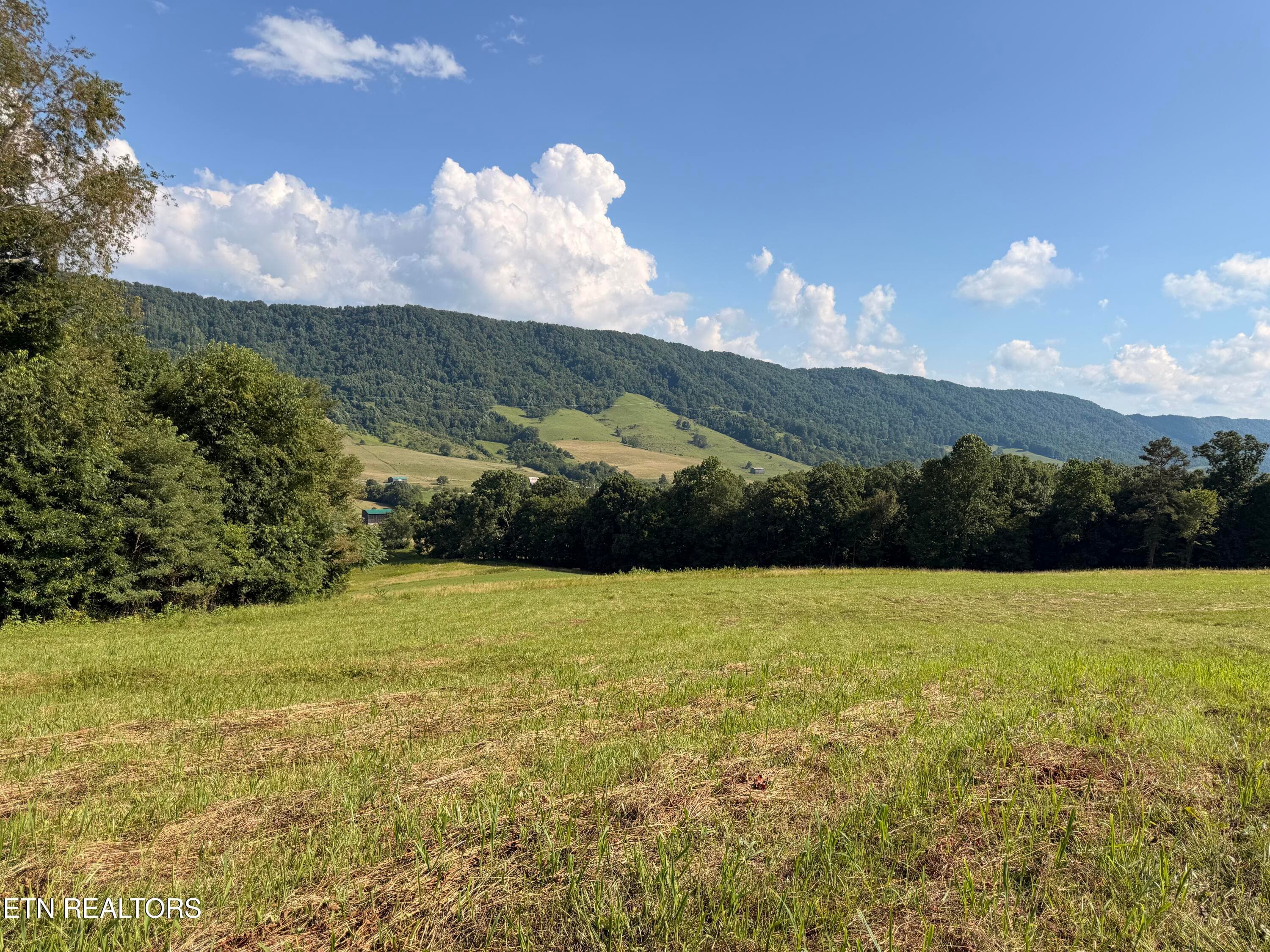 IMG_0895 - 4194 Little Sycamore Rd, Tazewell, TN 37879