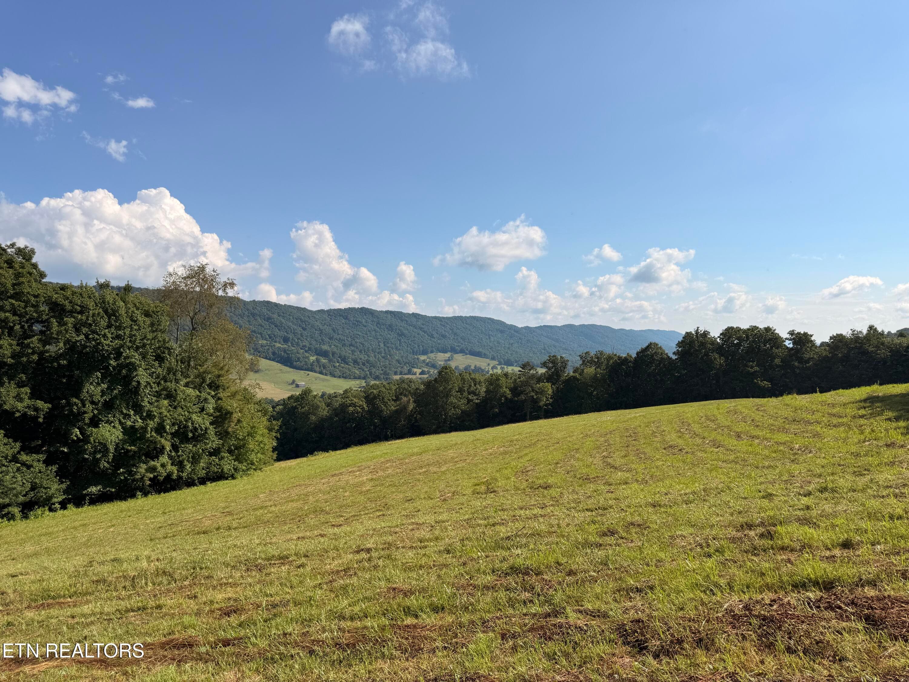 IMG_0891 - 4194 Little Sycamore Rd, Tazewell, TN 37879