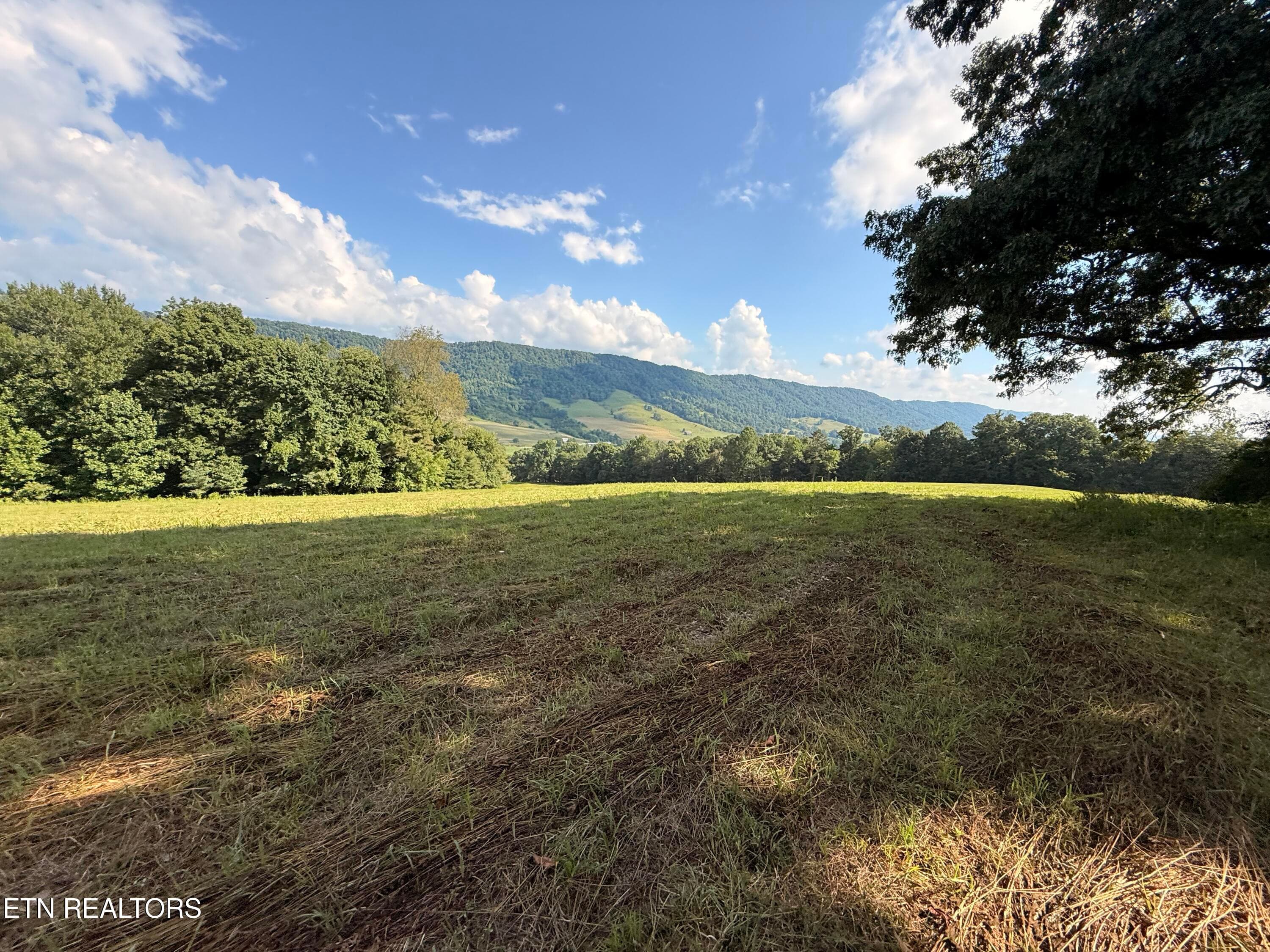 IMG_0885 - 4194 Little Sycamore Rd, Tazewell, TN 37879