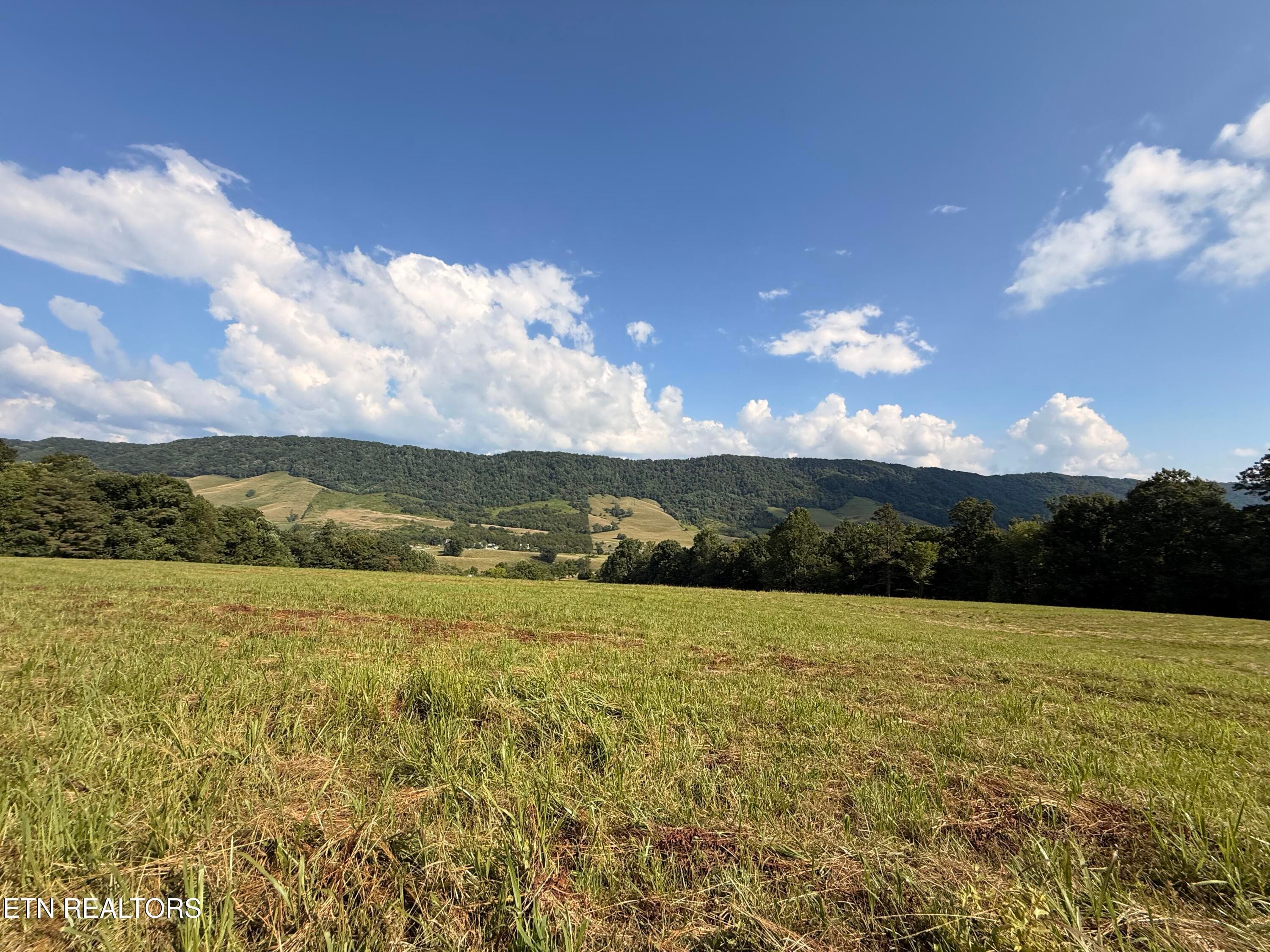 IMG_0882 - 4194 Little Sycamore Rd, Tazewell, TN 37879