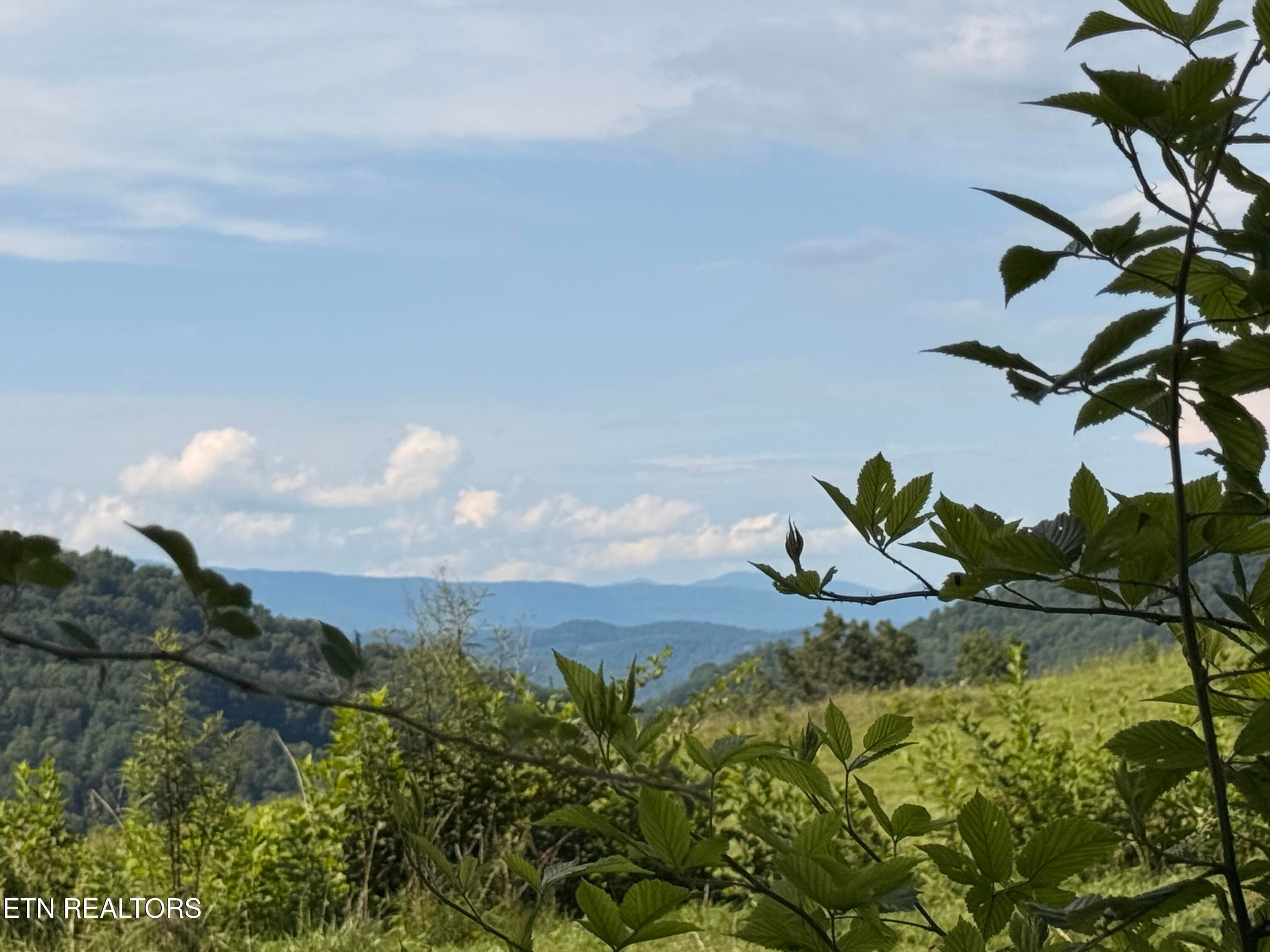 IMG_0878 - 4194 Little Sycamore Rd, Tazewell, TN 37879