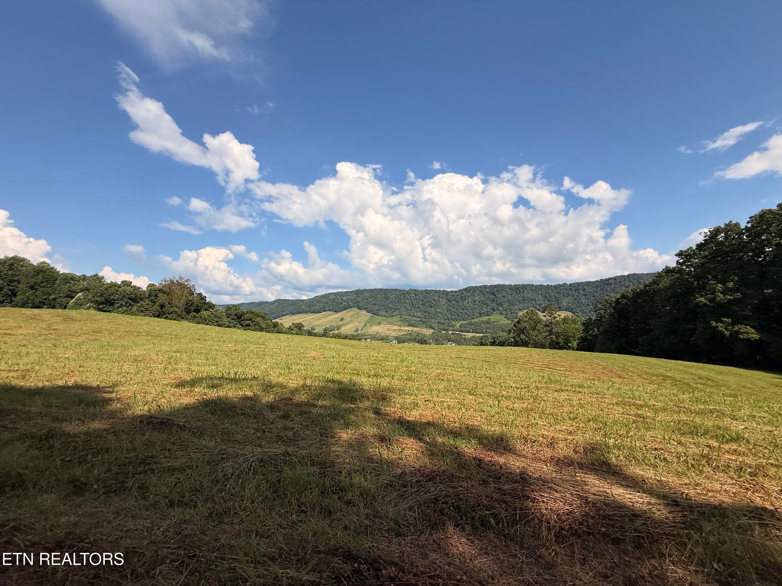 IMG_0876 - 4194 Little Sycamore Rd, Tazewell, TN 37879