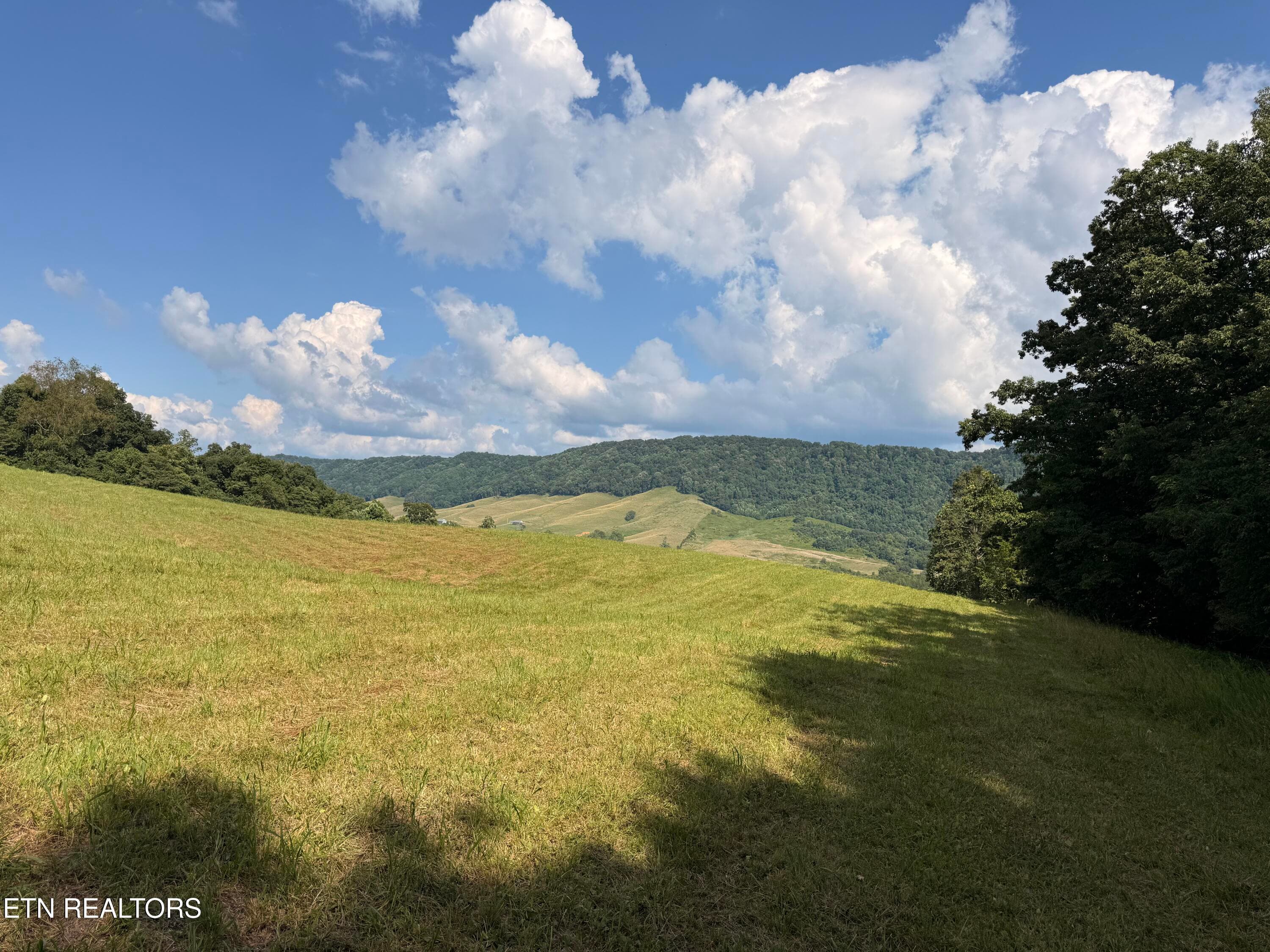 IMG_0872 - 4194 Little Sycamore Rd, Tazewell, TN 37879