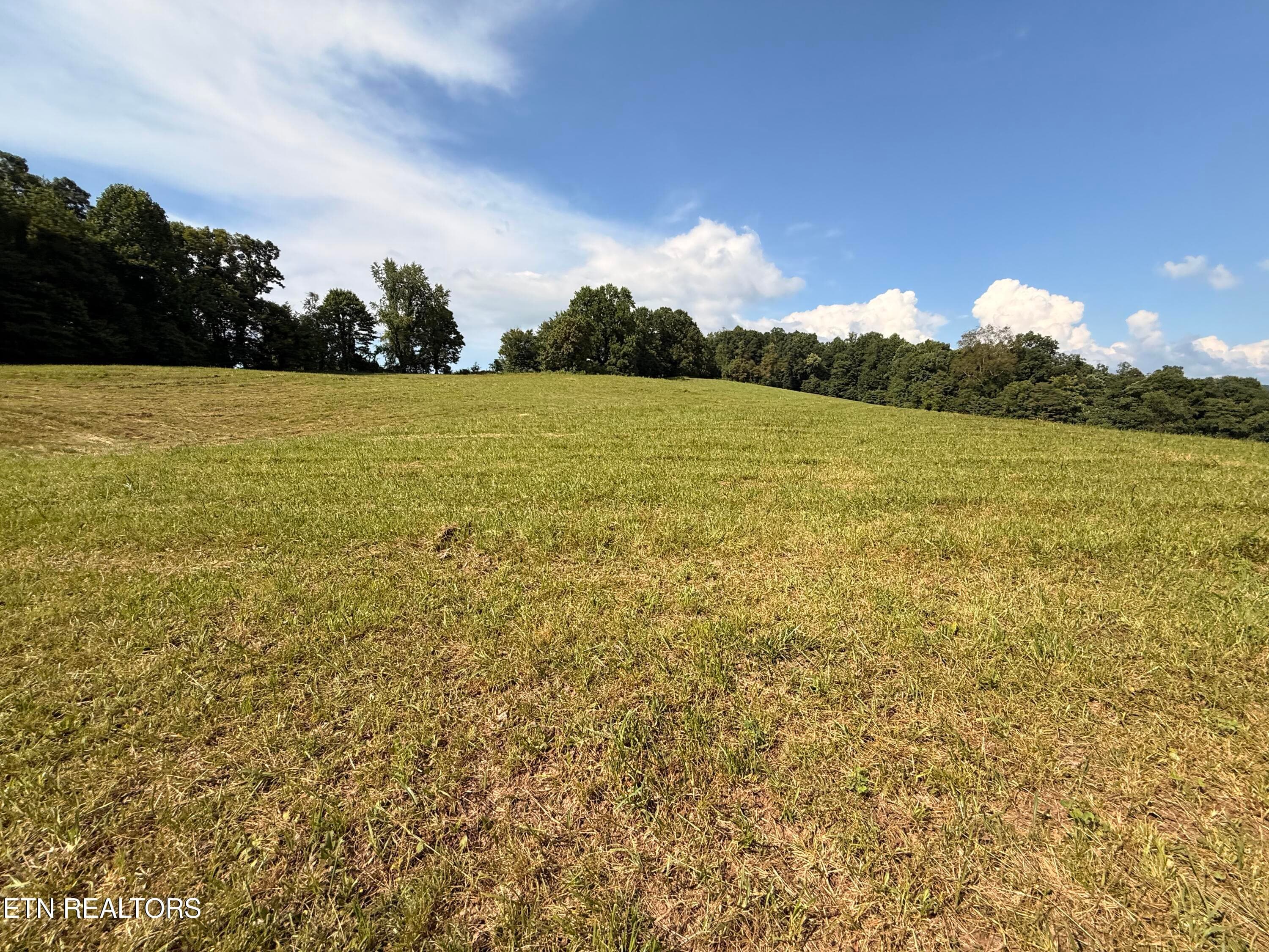 IMG_0868 - 4194 Little Sycamore Rd, Tazewell, TN 37879