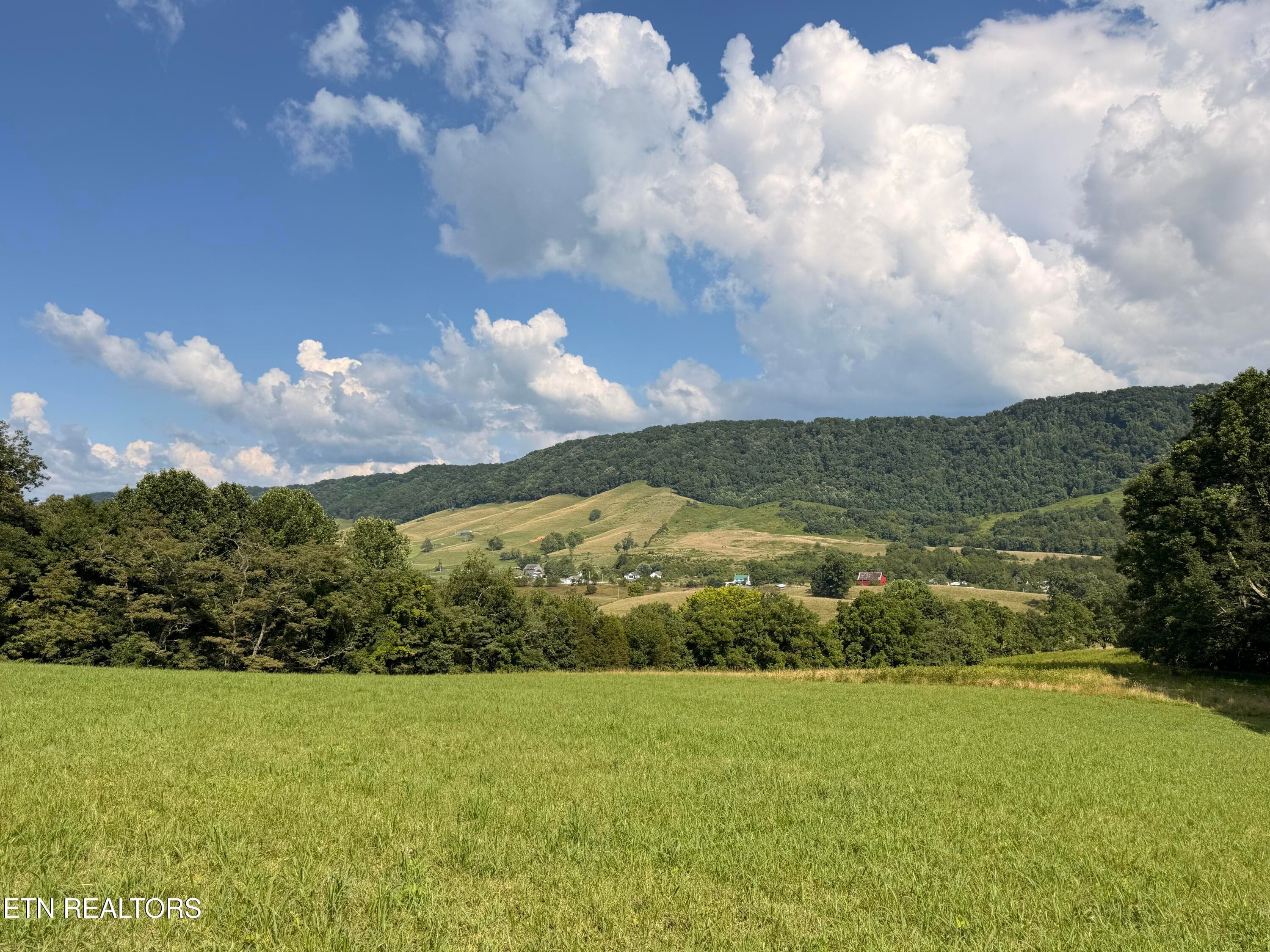 IMG_0864 - 4194 Little Sycamore Rd, Tazewell, TN 37879