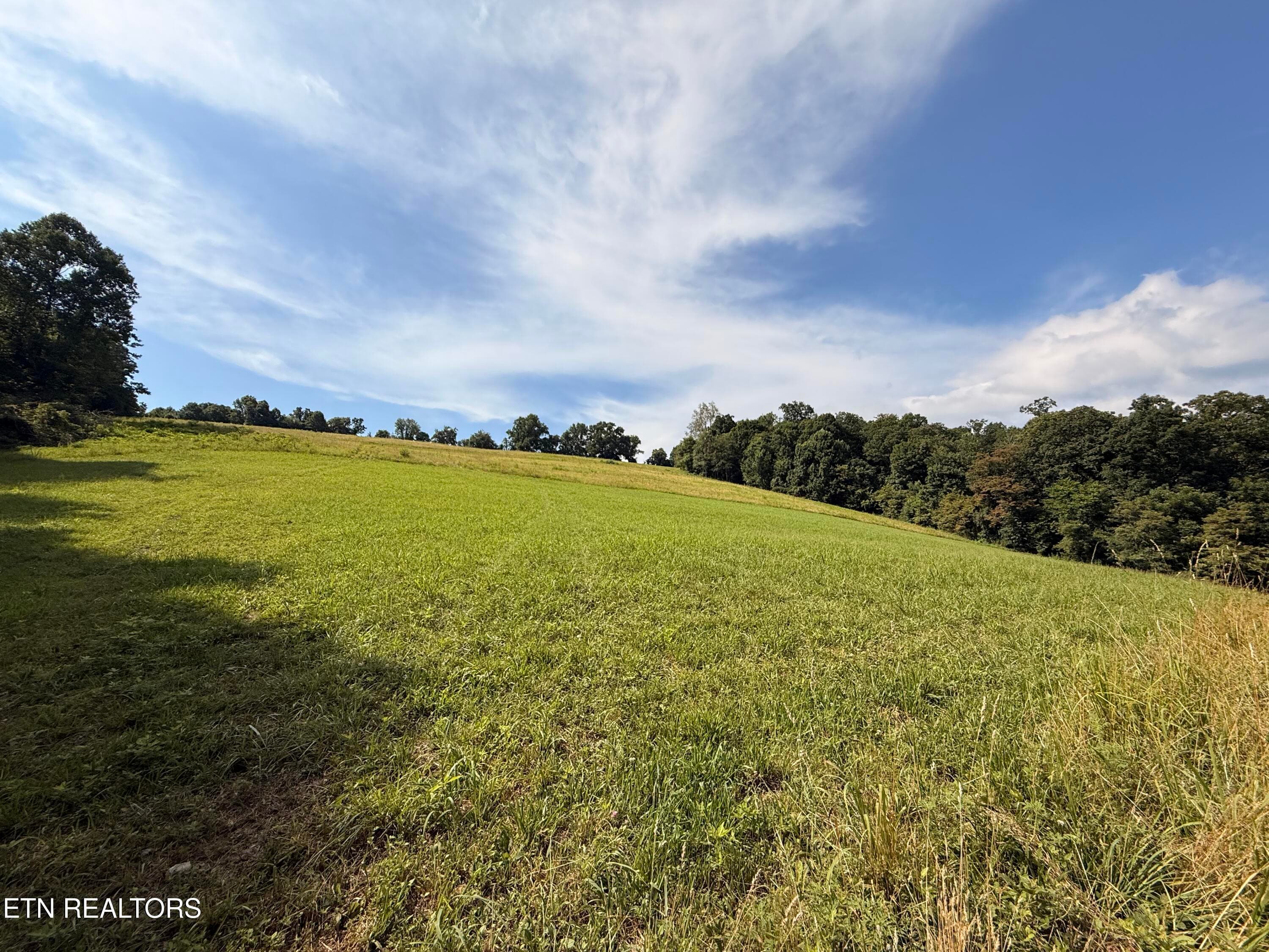 IMG_0863 - 4194 Little Sycamore Rd, Tazewell, TN 37879