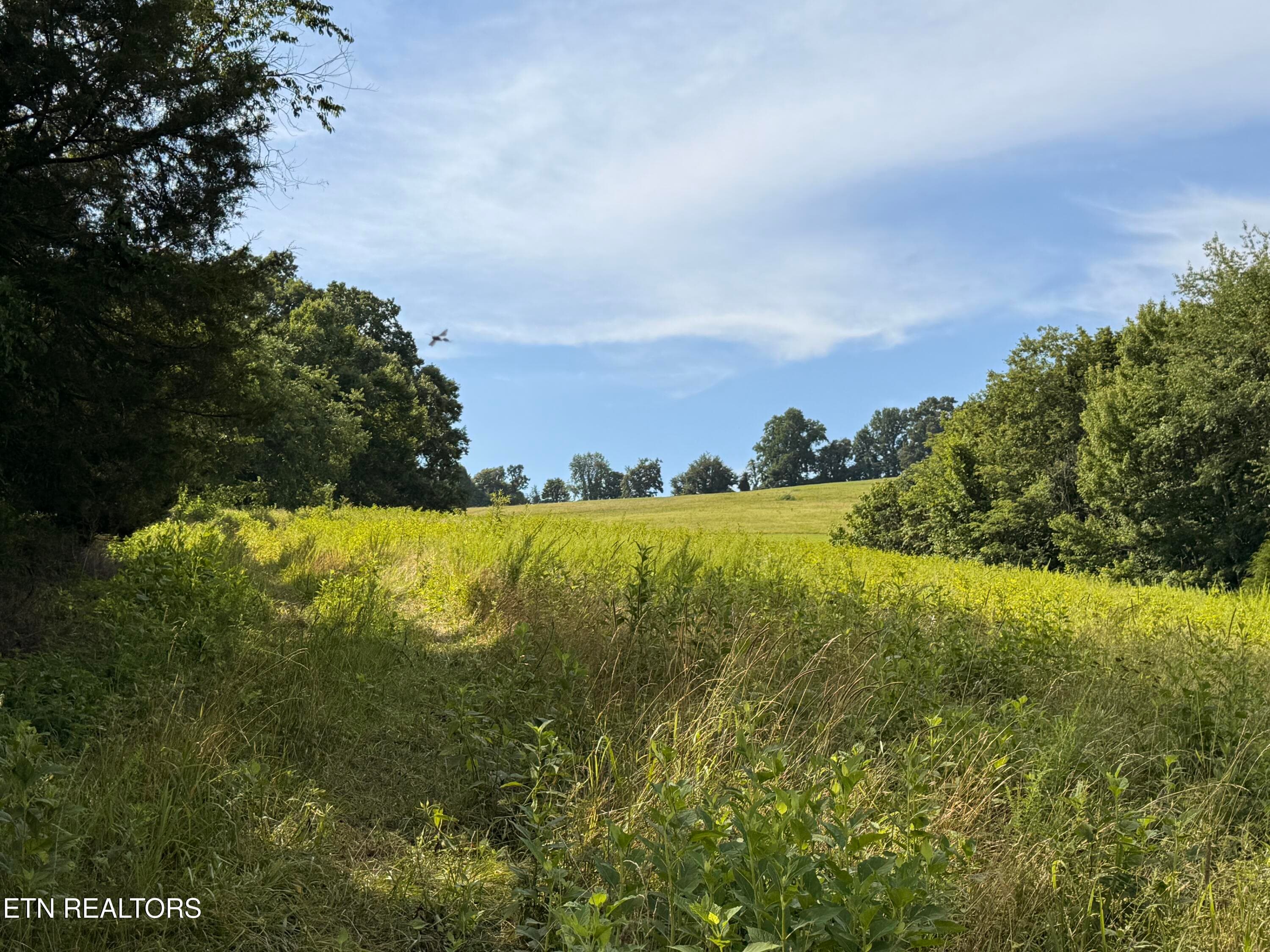 IMG_0856 - 4194 Little Sycamore Rd, Tazewell, TN 37879