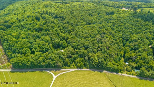 IMG_5761 - 1913 Dry Fork Valley Rd, Philadelphia, TN 37846