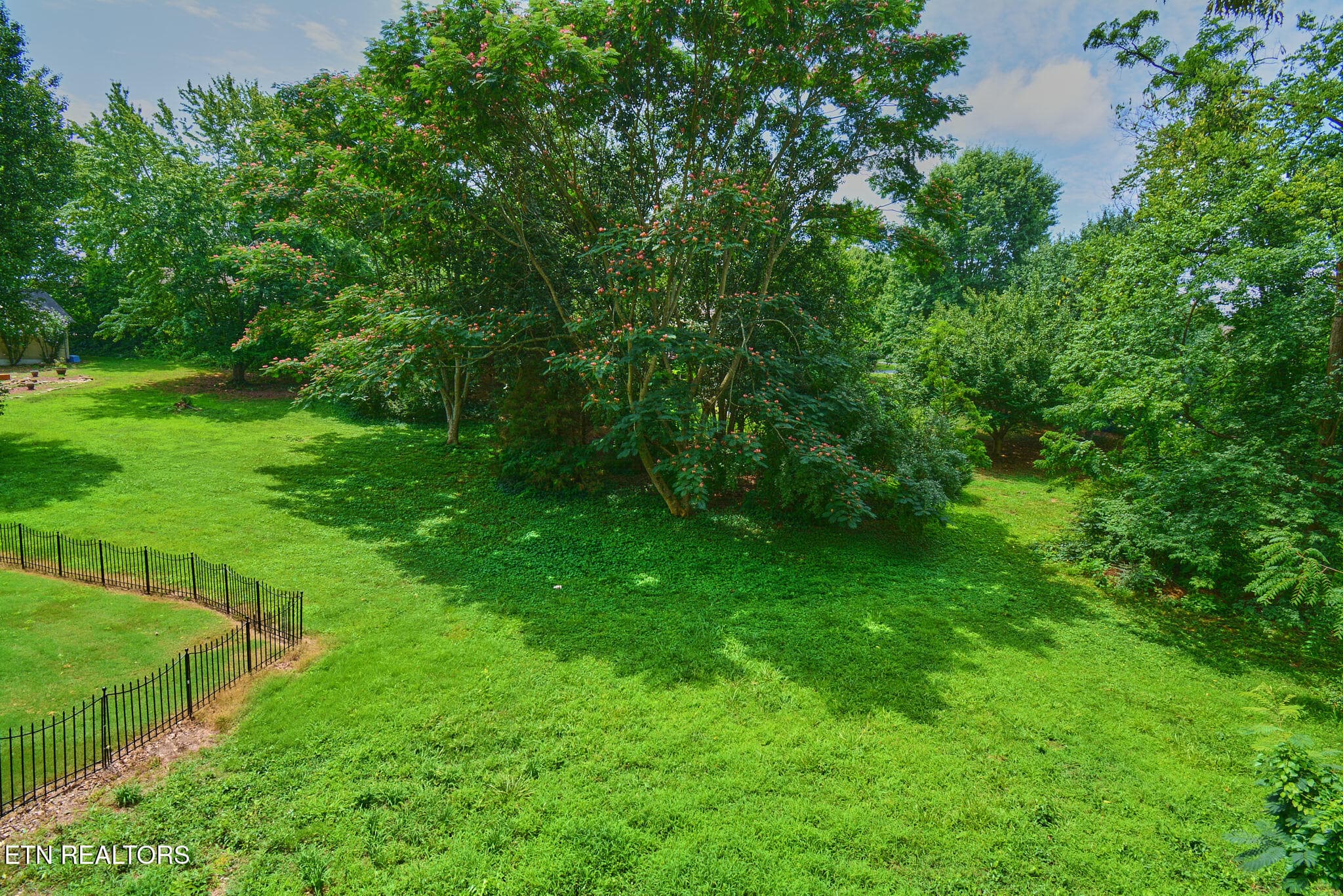 DSC_0093.1 - 164 Cheeskogili Way, Loudon, TN 37774
