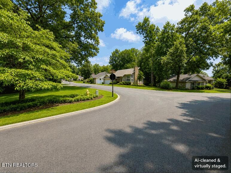 imagepng_0(5) - 164 Cheeskogili Way, Loudon, TN 37774
