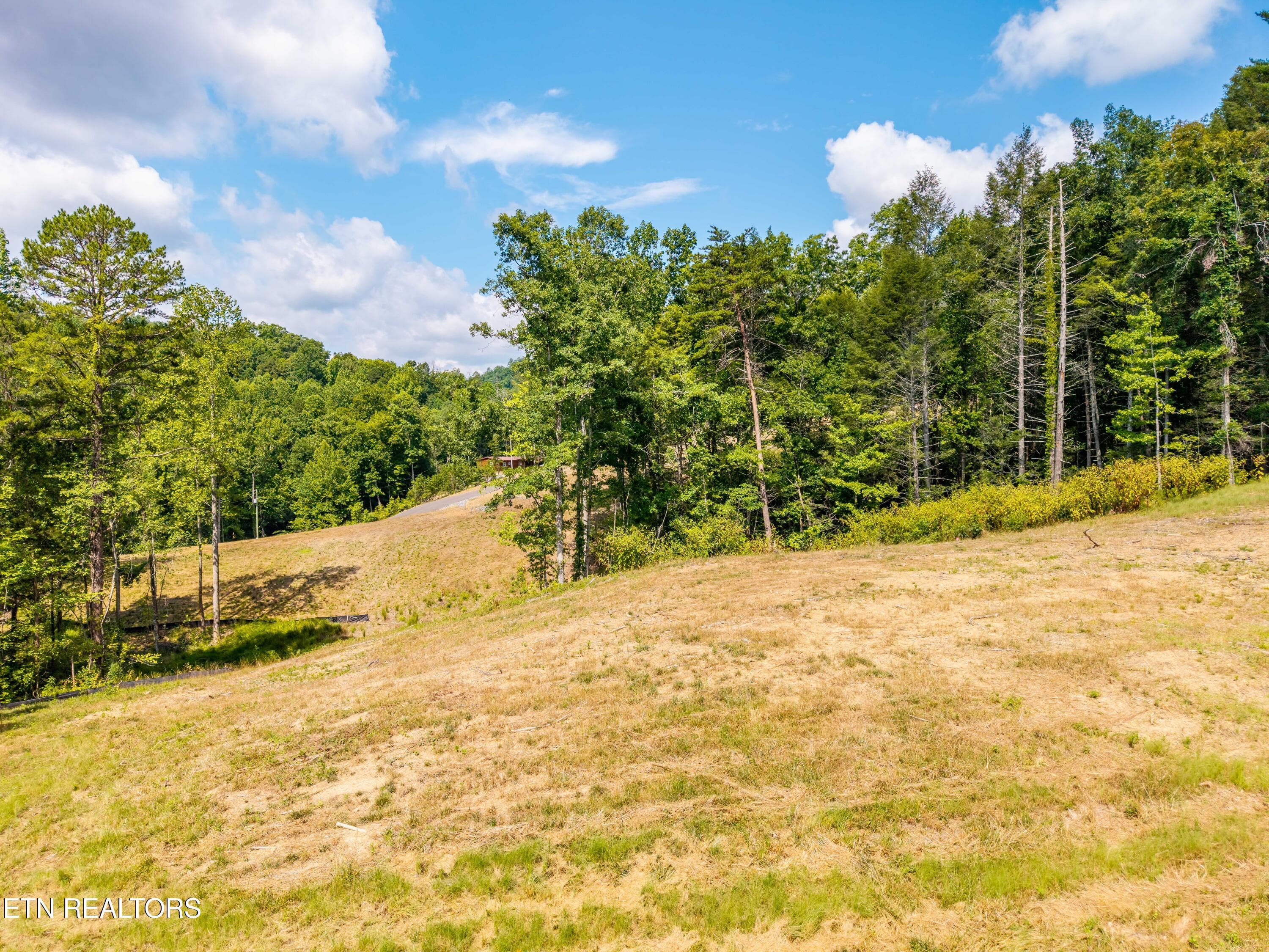 FranklinGrove-101 - Waldens Creek Rd, Sevierville, TN 37862