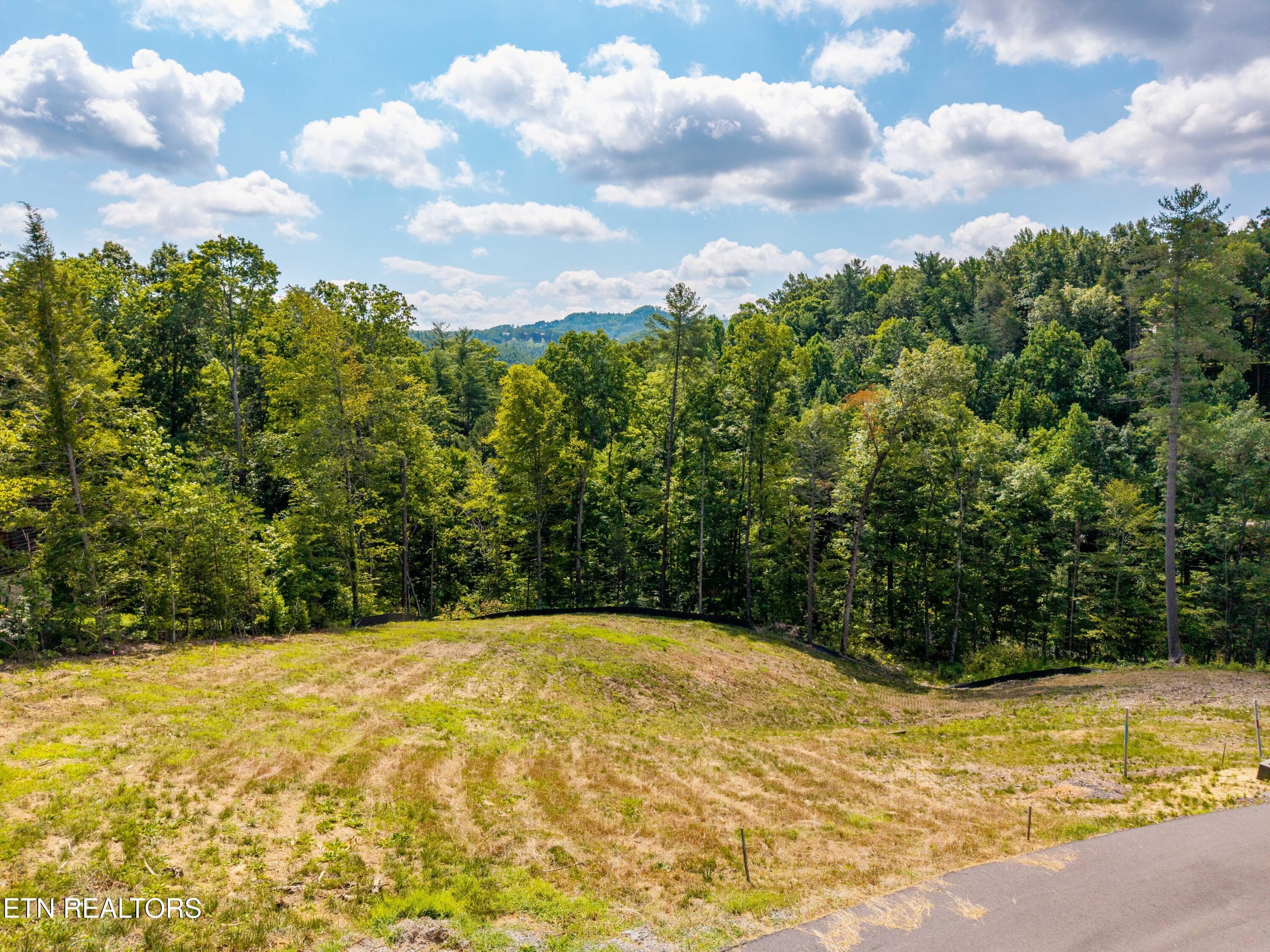 FranklinGrove-118 - Waldens Creek Rd, Sevierville, TN 37862