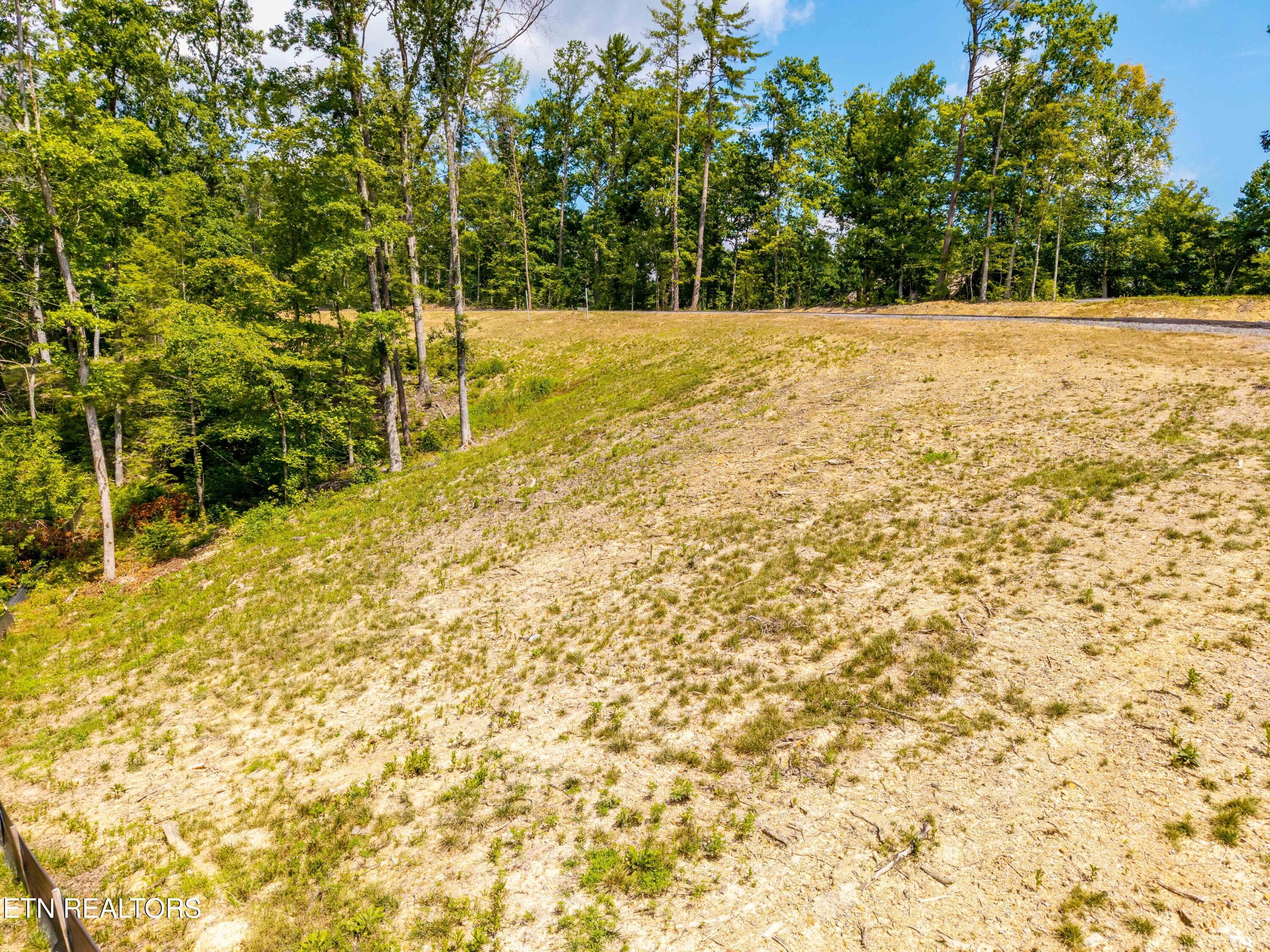 FranklinGrove-144 - Waldens Creek Rd, Sevierville, TN 37862