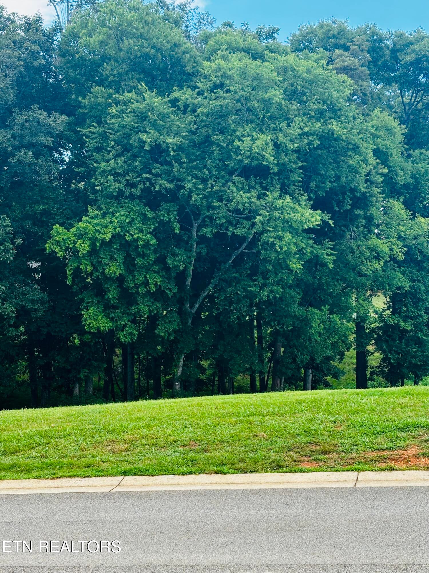 IMG_6179 - 3964 Persimmon Ridge, Loudon, TN 37774