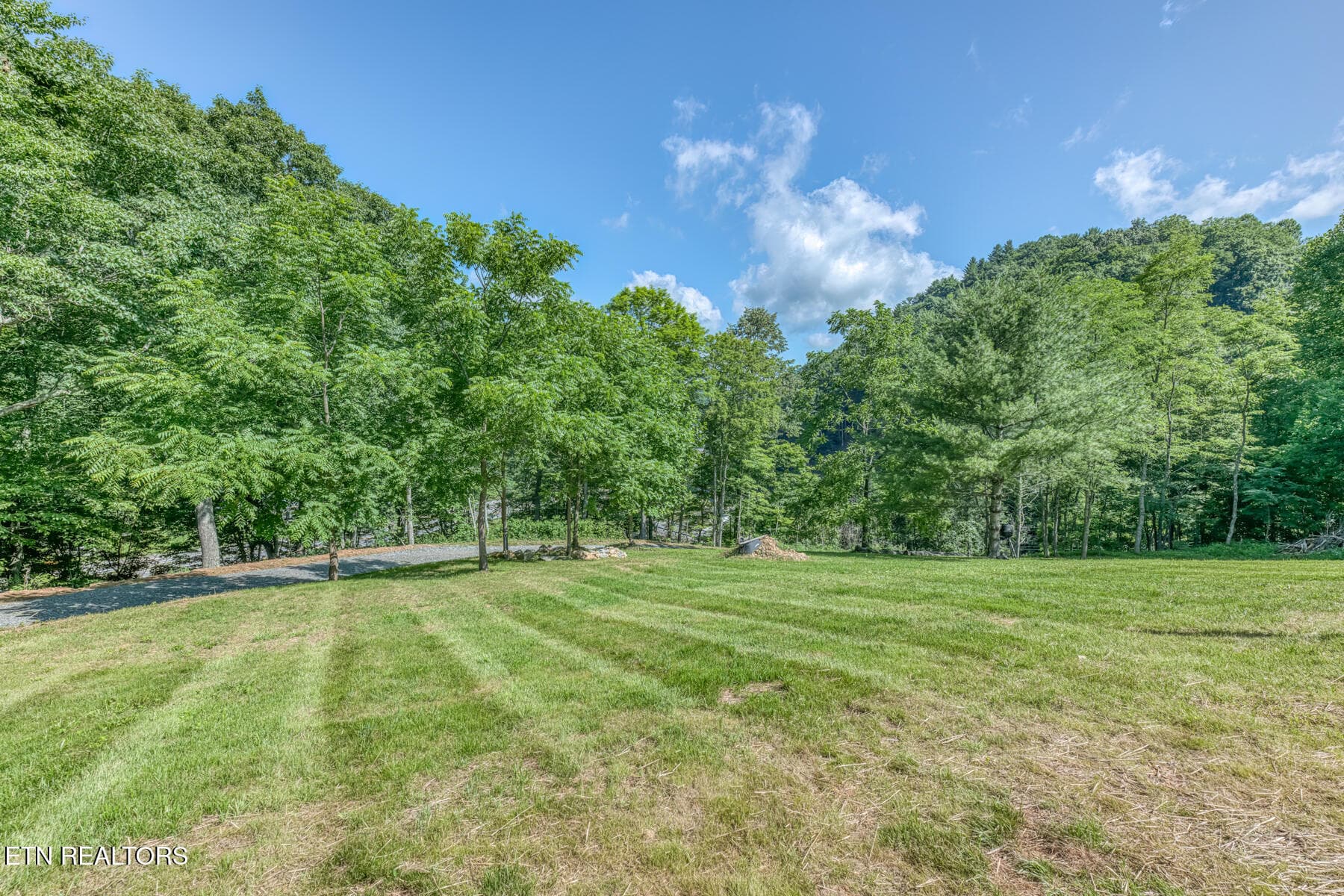 128 Antioch Rd-4 - 128 Antioch Rd, Mountain City, TN 37683