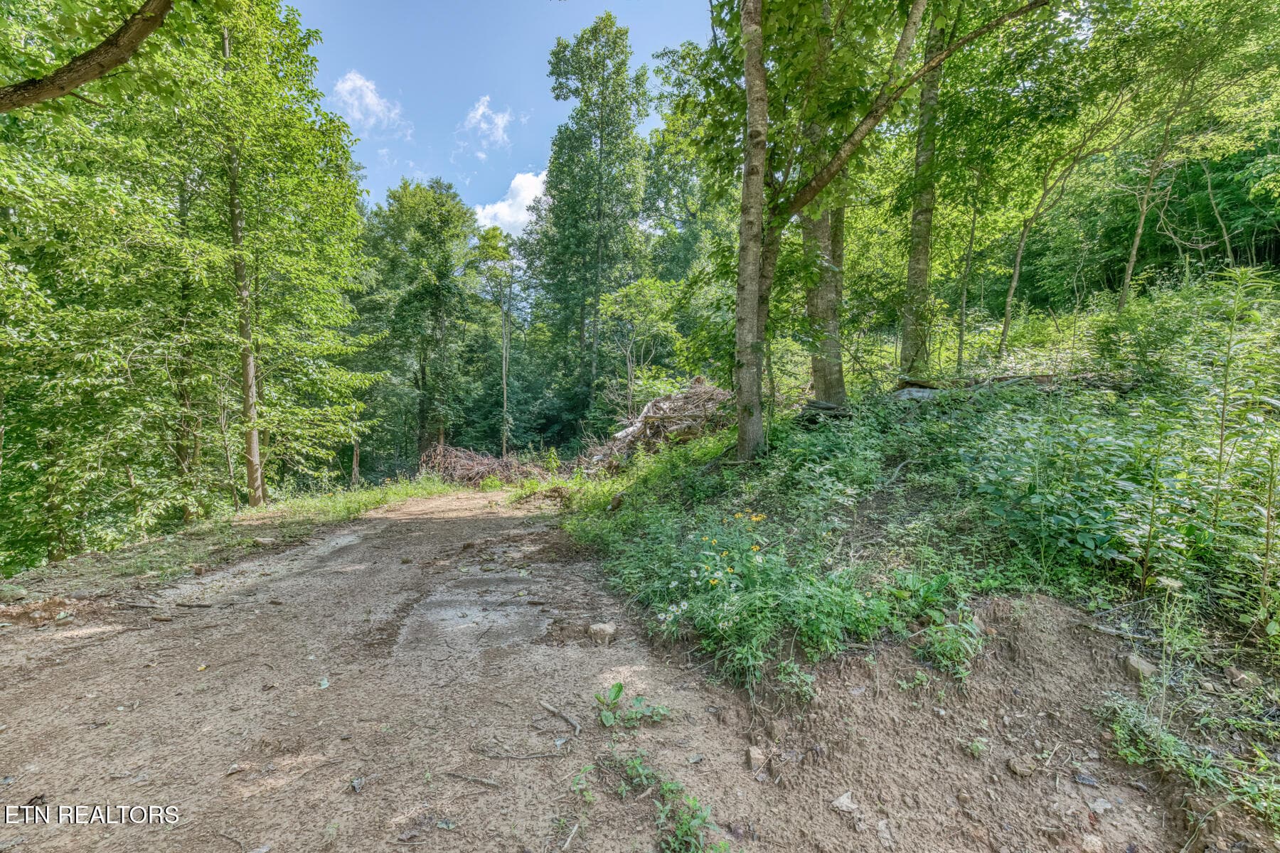 128 Antioch Rd-26 - 128 Antioch Rd, Mountain City, TN 37683