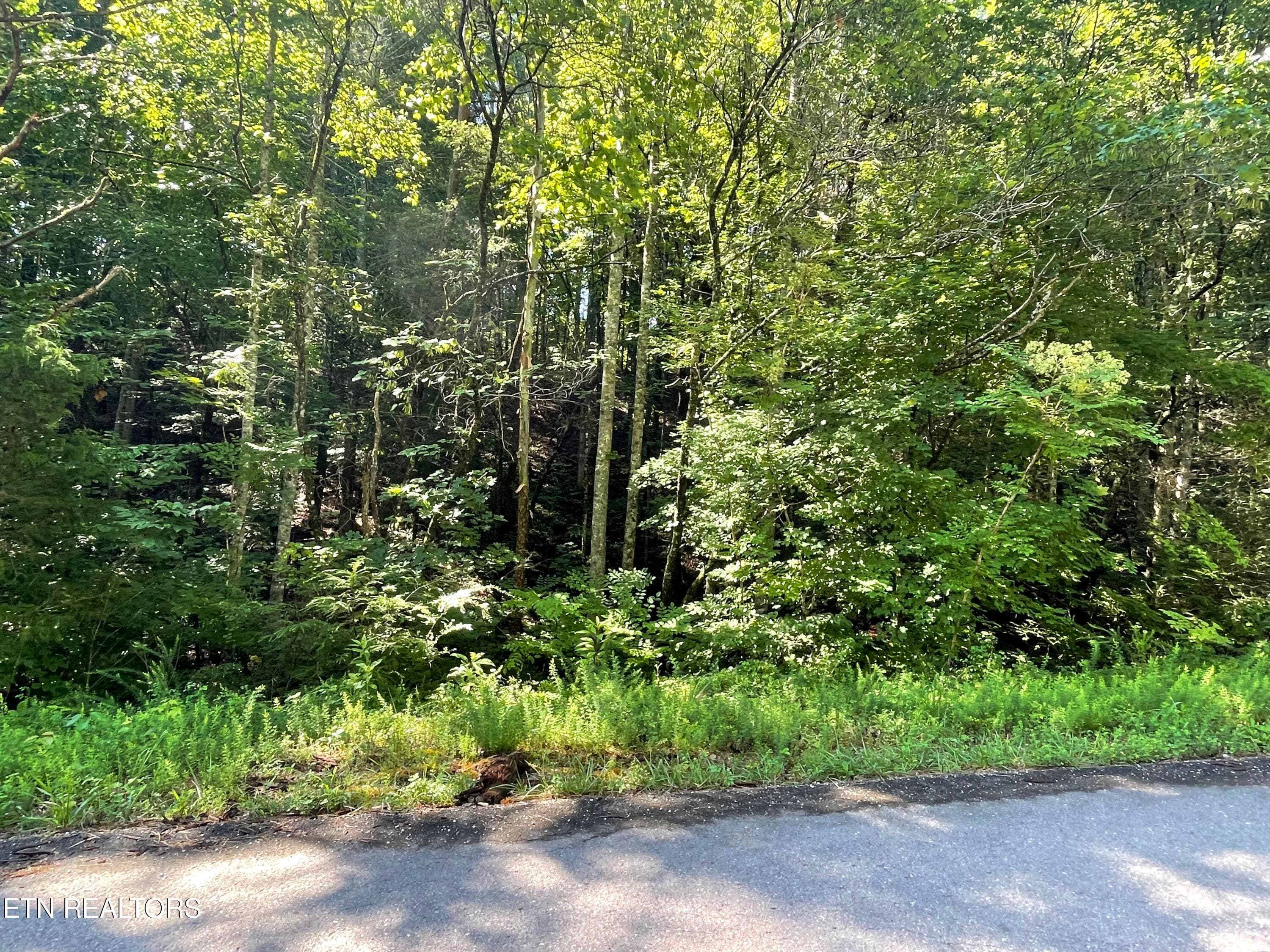 IMG_2312 - 3 Point Road Lots 7,8,9, Vonore, TN 37885