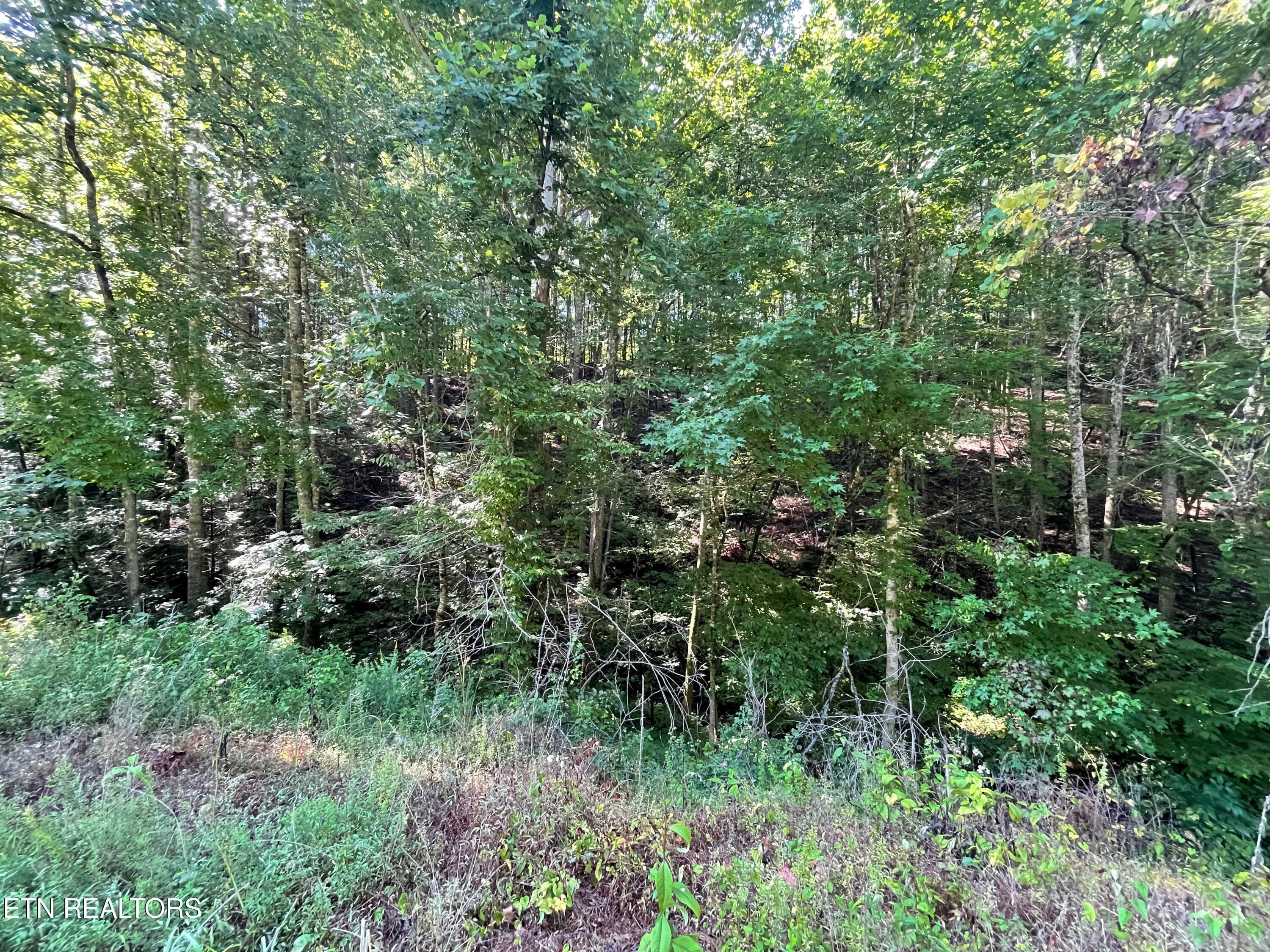 IMG_2319 - 3 Point Road Lots 7,8,9, Vonore, TN 37885