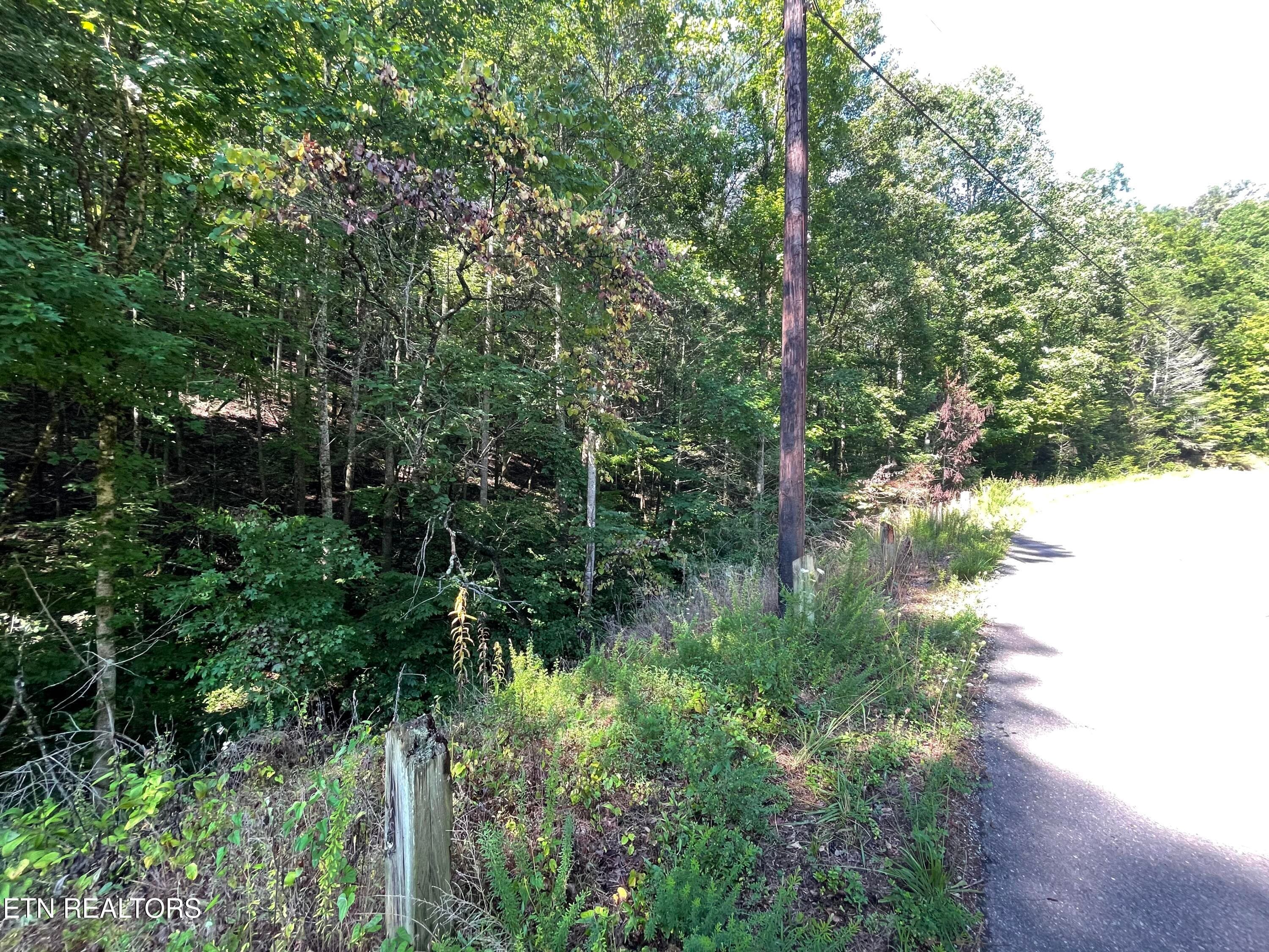 IMG_2320 - 3 Point Road Lots 7,8,9, Vonore, TN 37885