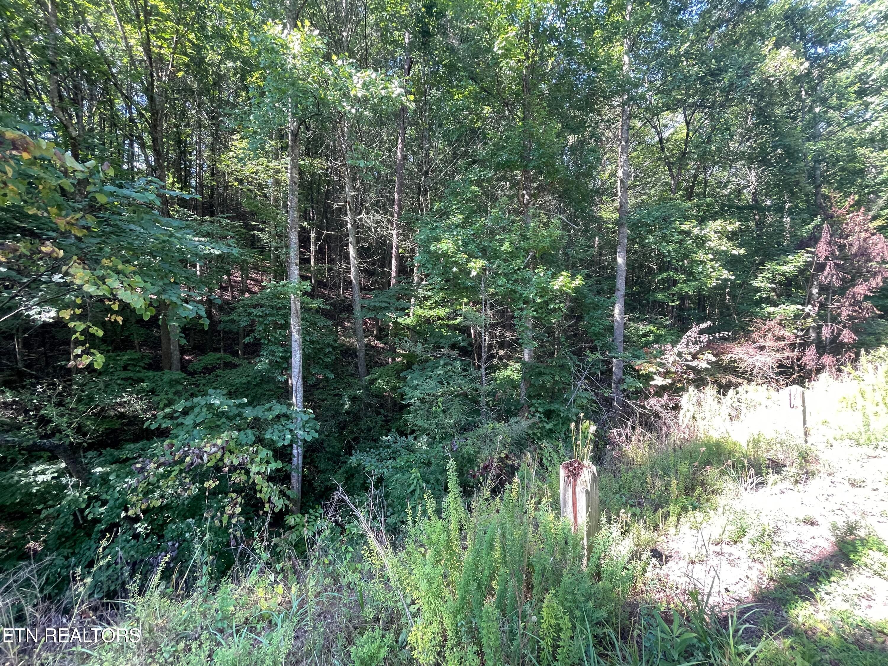 IMG_2328 - 3 Point Road Lots 7,8,9, Vonore, TN 37885