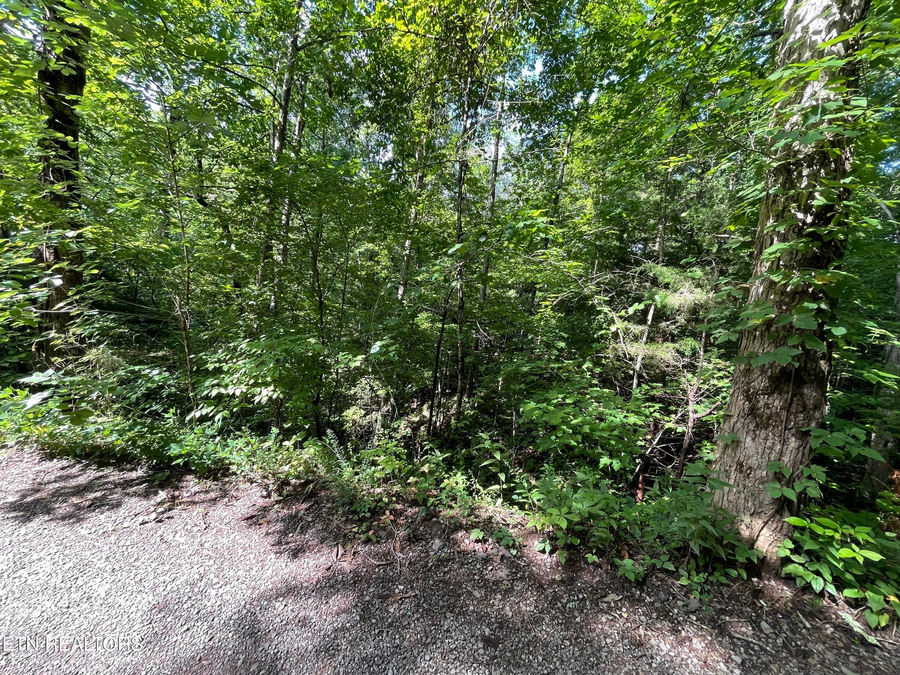 IMG_2342 - 3 Point Road Lots 7,8,9, Vonore, TN 37885