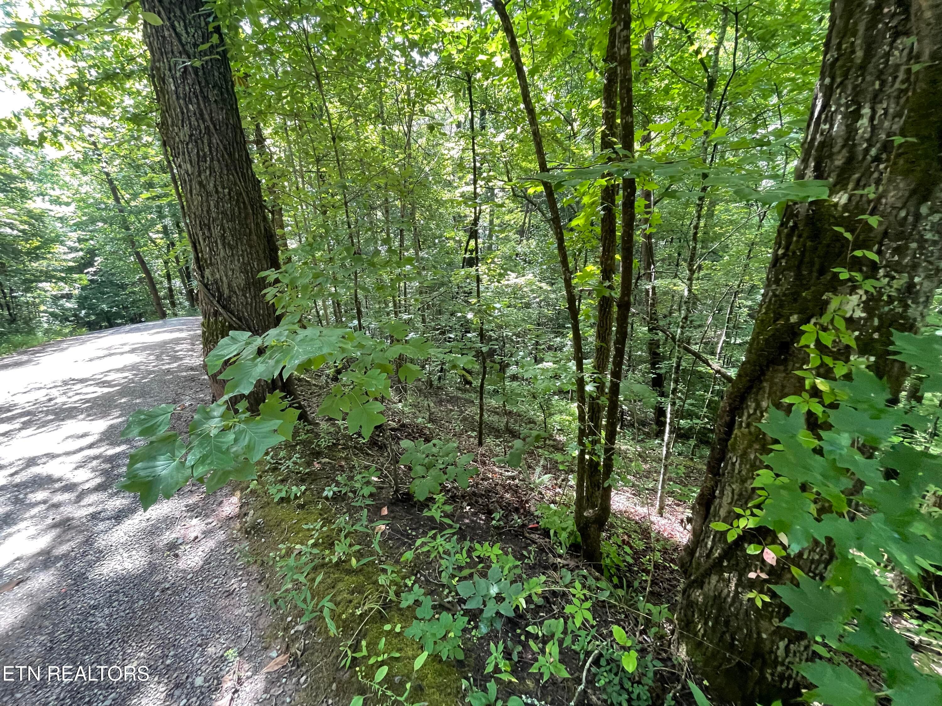 IMG_2350 - 3 Point Road Lots 7,8,9, Vonore, TN 37885