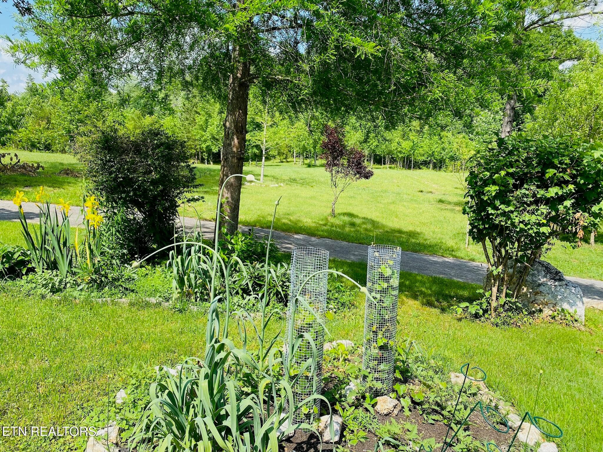 5.16.23(6) - 1751 County Road 50, Riceville, TN 37370
