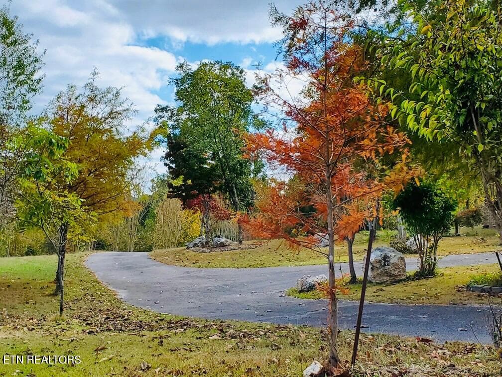 10.17.23(1) - 1751 County Road 50, Riceville, TN 37370
