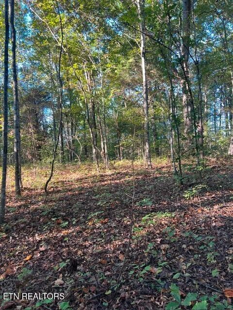 de7bb046859cb44af2894bc3c97720a4 - 196 Woodstock Drive #179, Rutledge, TN 37861