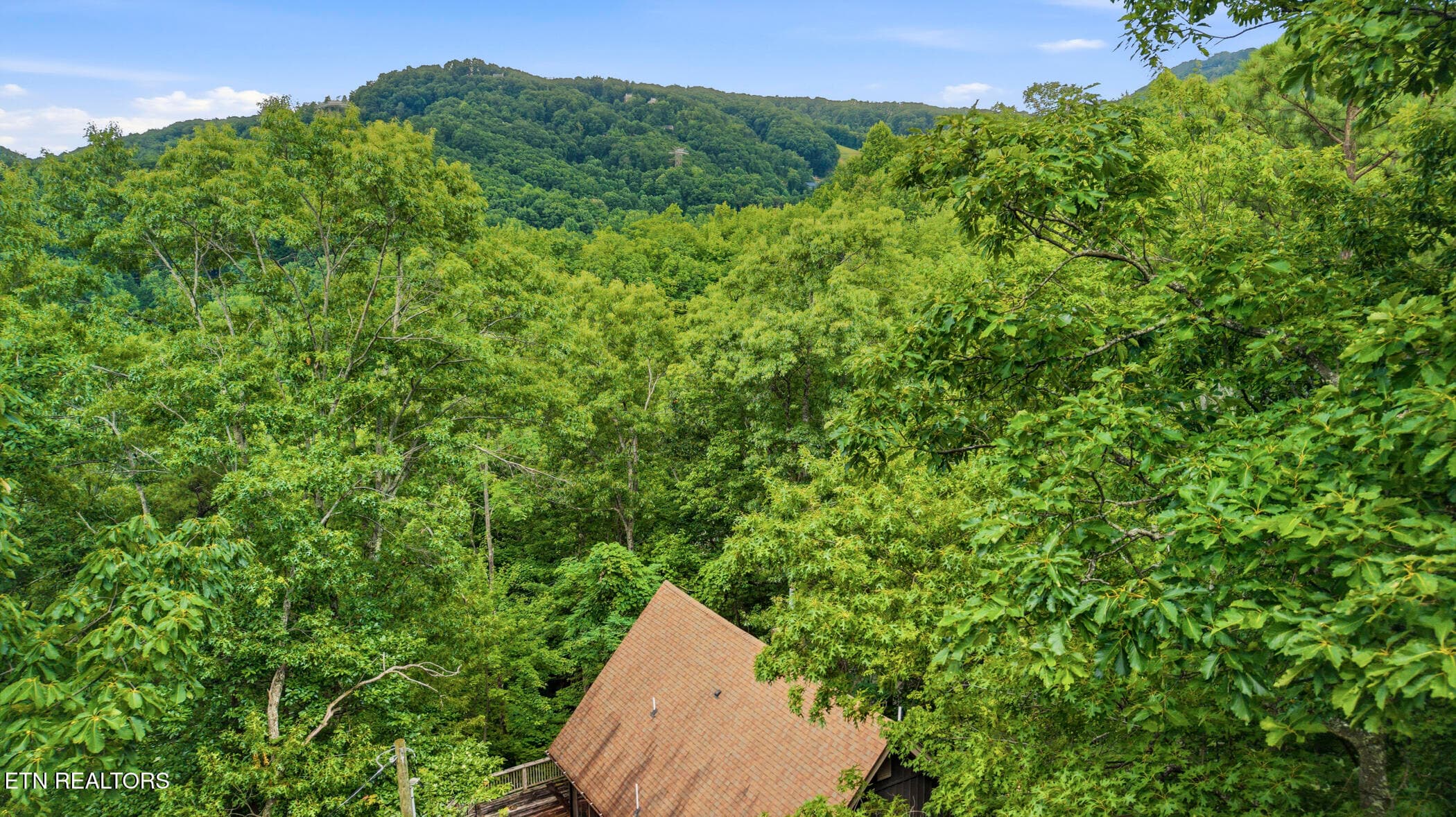 6_dji_20260714124138_0796_d - 1068 Lower Alpine Way, Gatlinburg, TN 37738, Gatlinburg