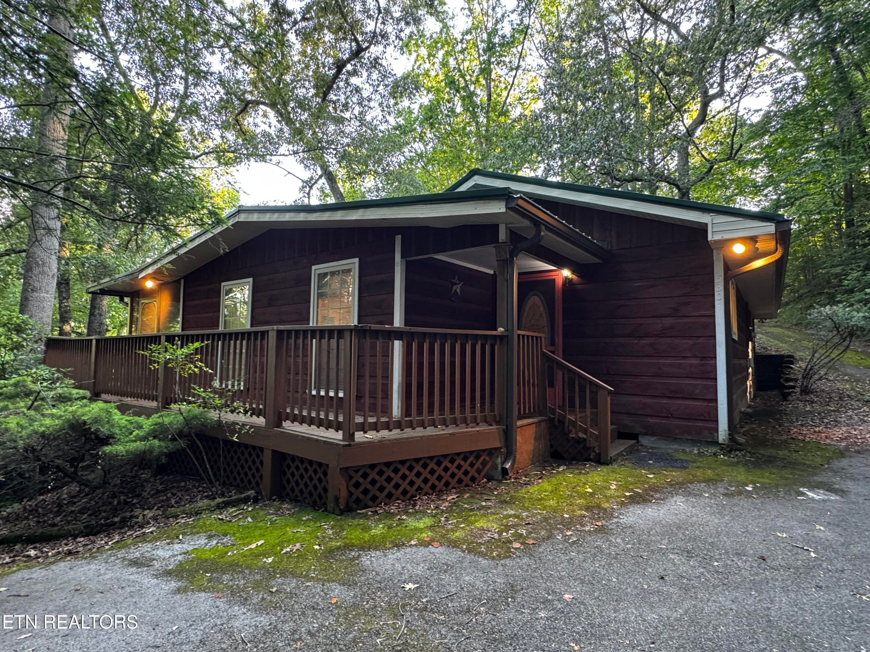 parton right sd back - 530 Parton Drive, Gatlinburg, TN 37738, Gatlinburg
