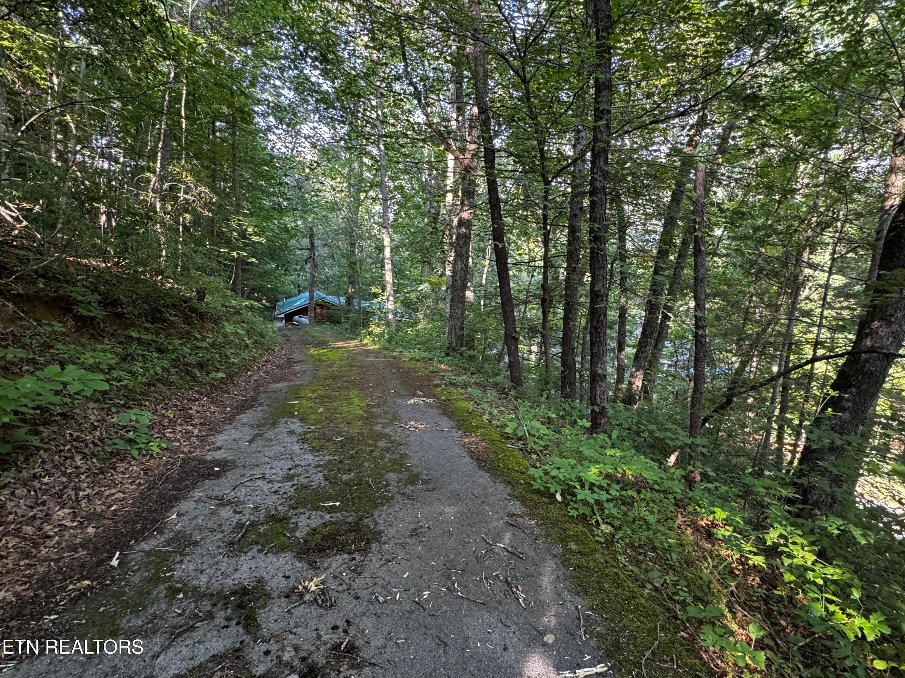 parton driveway - 530 Parton Drive, Gatlinburg, TN 37738, Gatlinburg