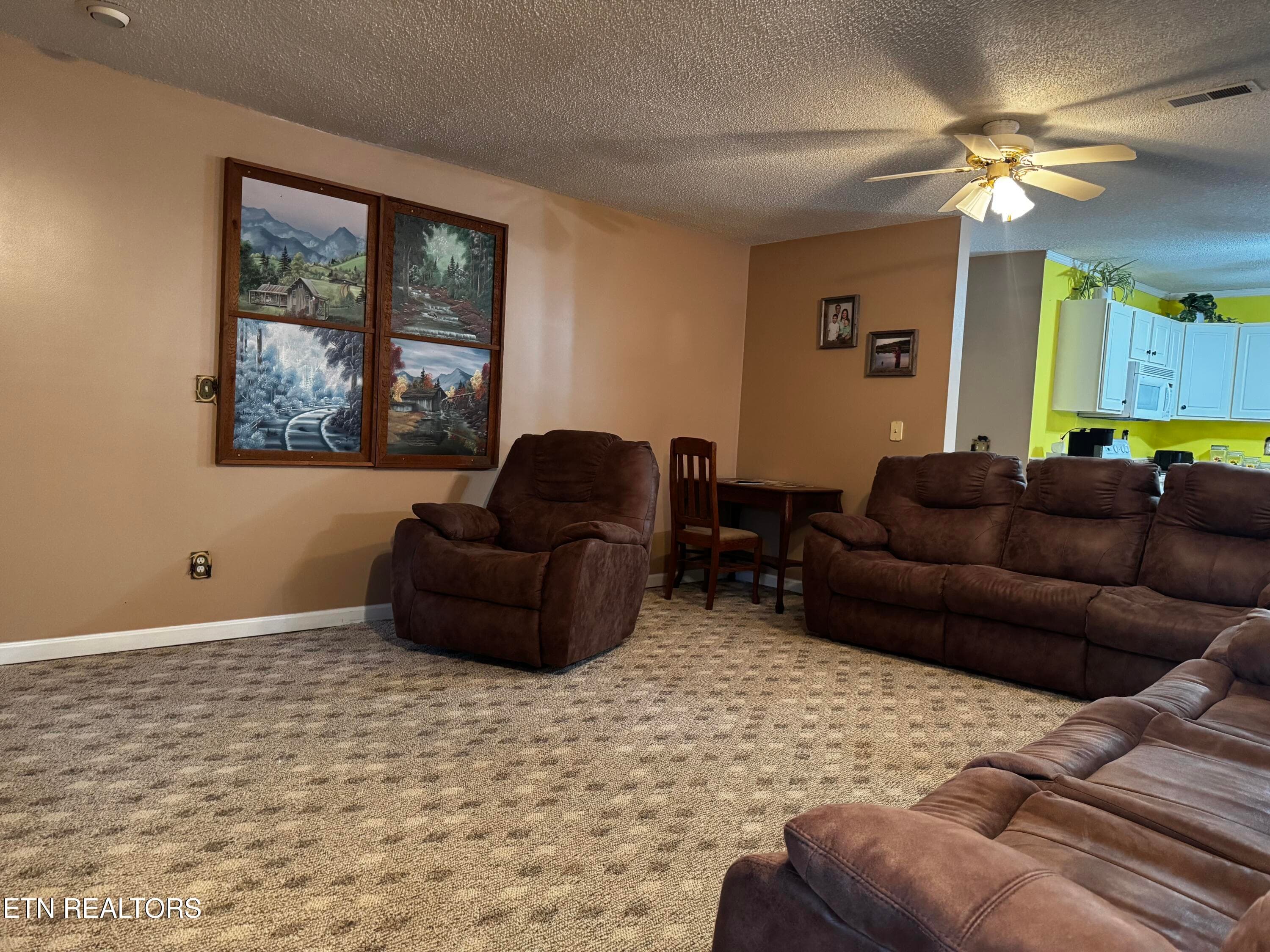 parton lr 2 - 530 Parton Drive, Gatlinburg, TN 37738, Gatlinburg