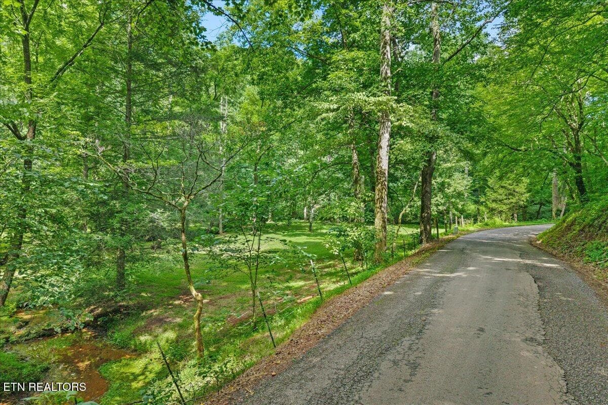 16-00 Brunner Rd-16 - 250 Brunner Rd, Sweetwater, TN 37874