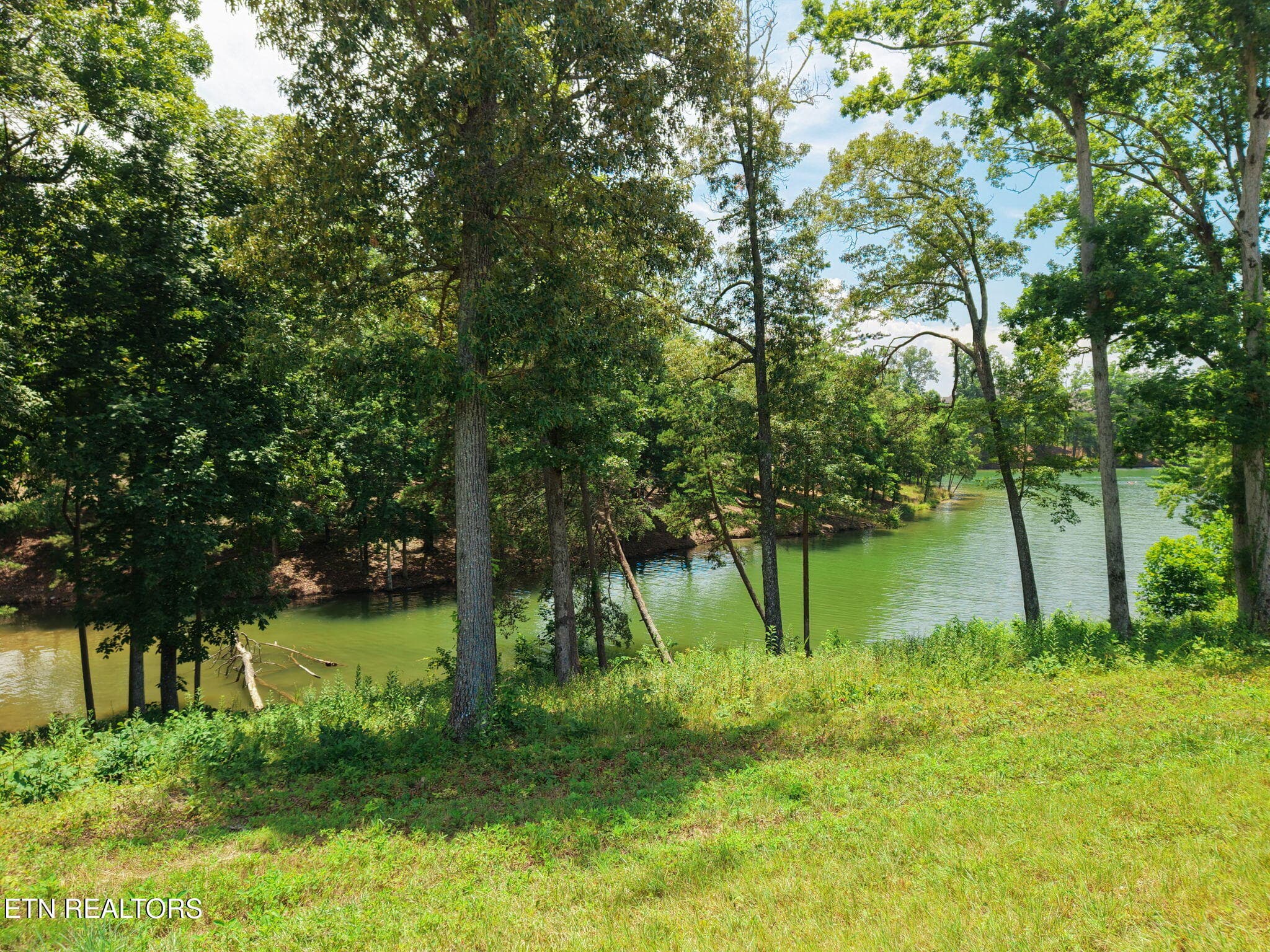 16-web-or-mls-076--FULL - 161 Careen Court, Lenoir City, TN 37772, Lenoir City