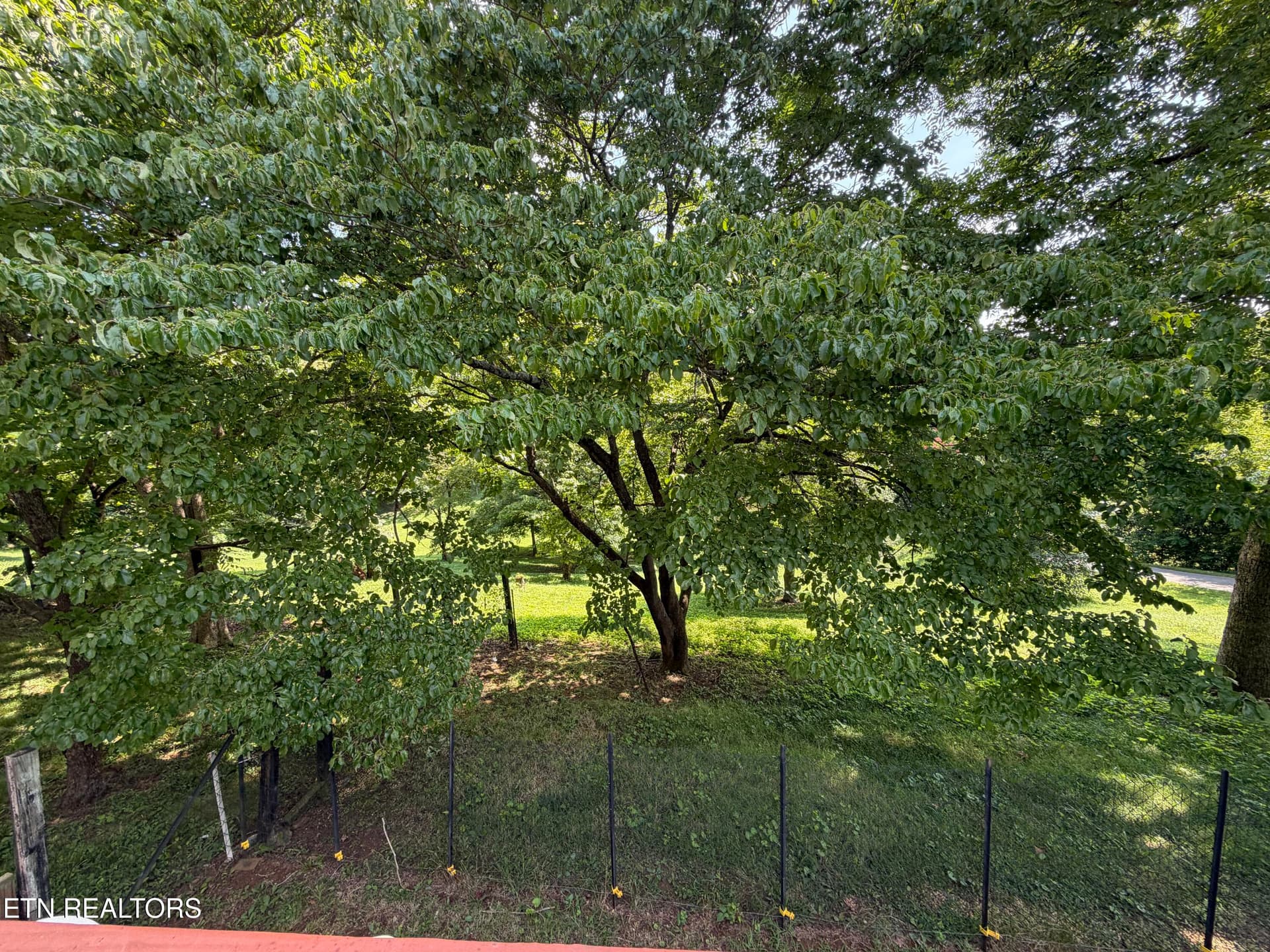 back yard - 2860 Boyds Creek Hwy, Sevierville, TN 37876