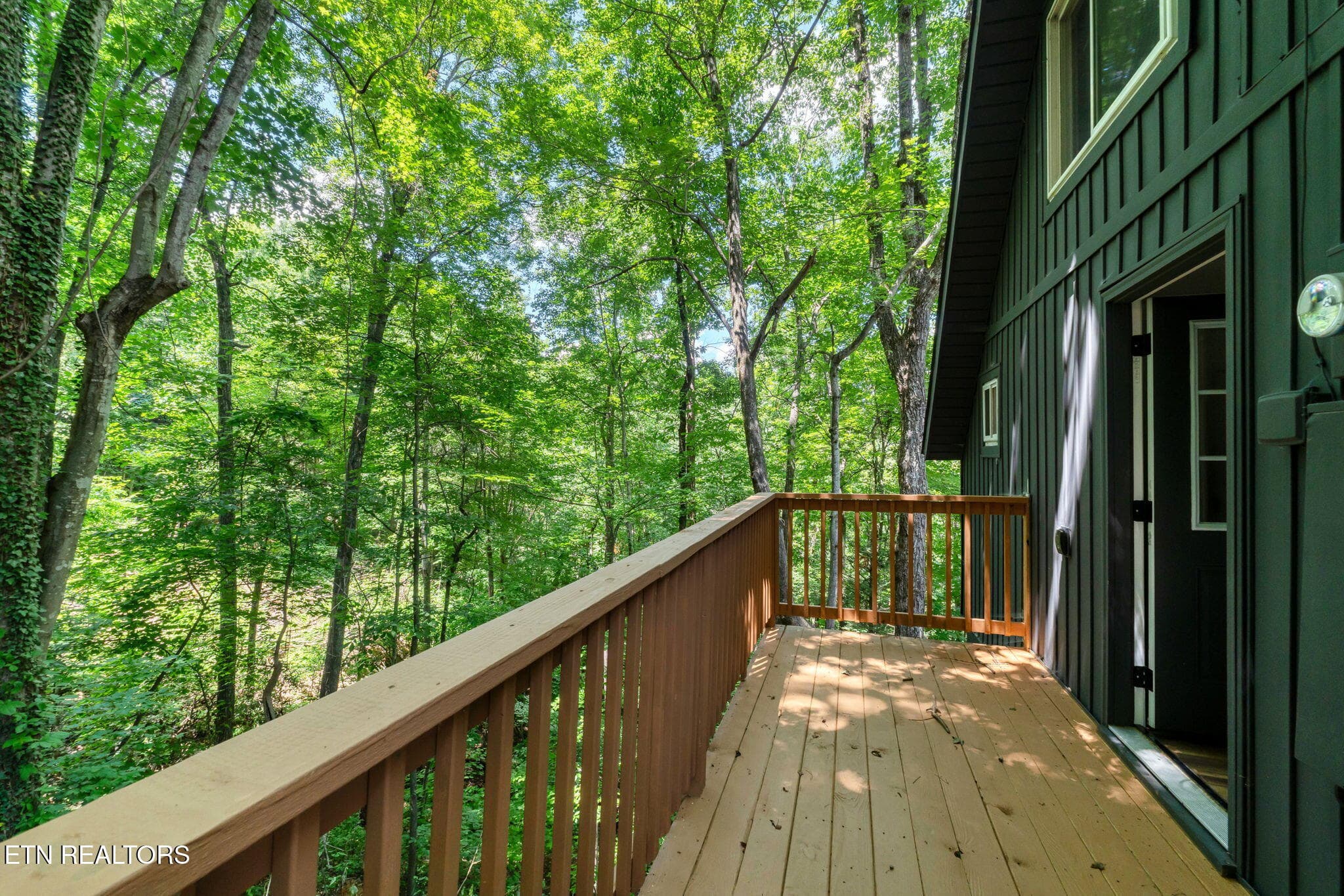 52-web-or-mls-DSC06305-2 - 929 Stans Court, Gatlinburg, TN 37738, Gatlinburg