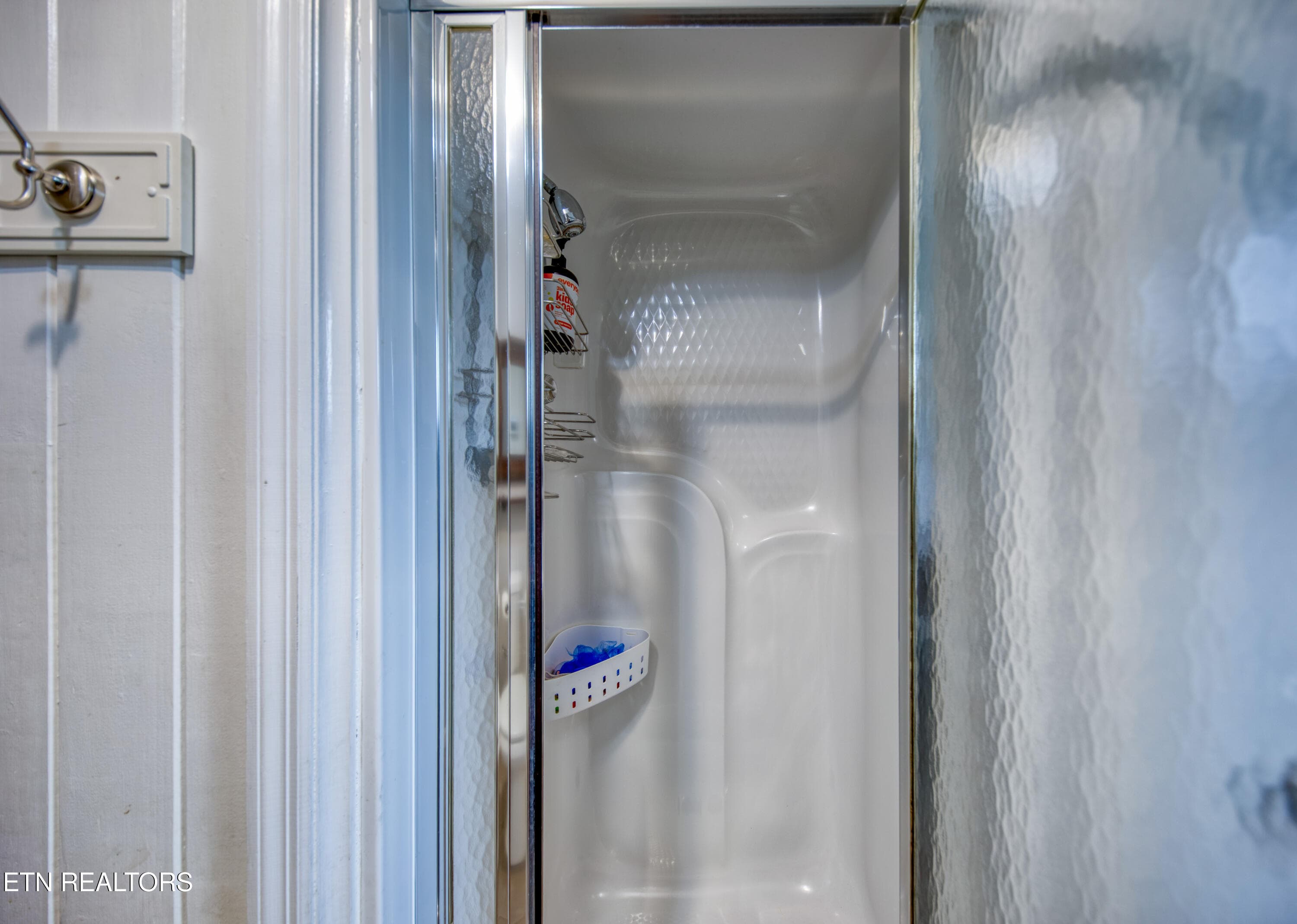 Downstairs Shower - 12516 Pony Express Drive, Knoxville, TN 37934, Knoxville