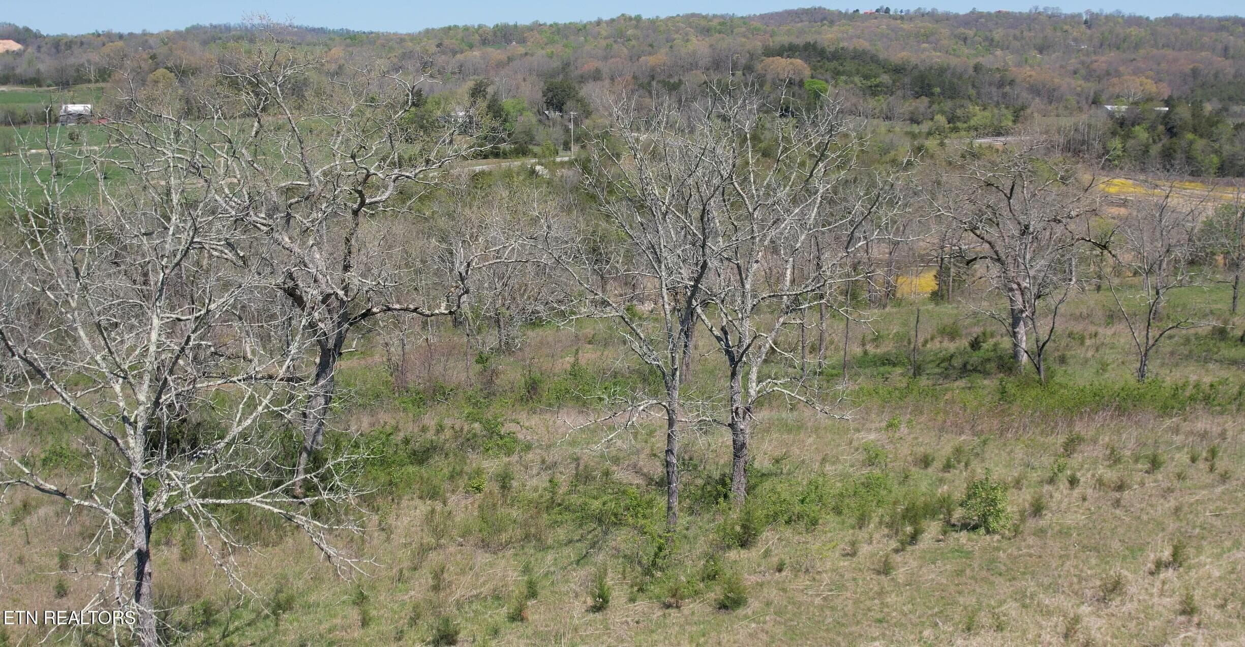 Topography - Lot 4 Waterfront Knoll Rd, Sharps Chapel, TN 37866, Sharps Chapel