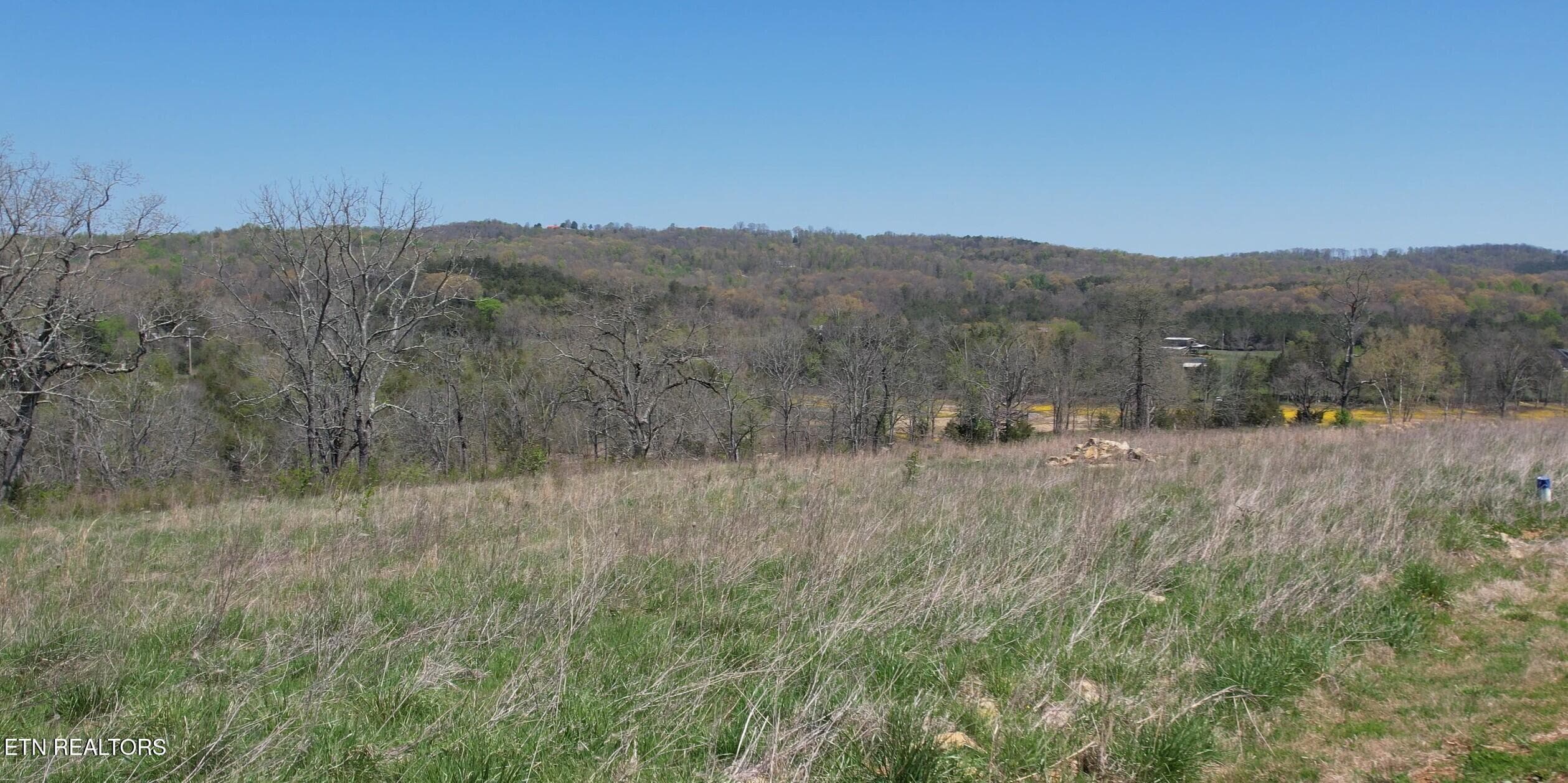 Topography - Lot 4 Waterfront Knoll Rd, Sharps Chapel, TN 37866, Sharps Chapel