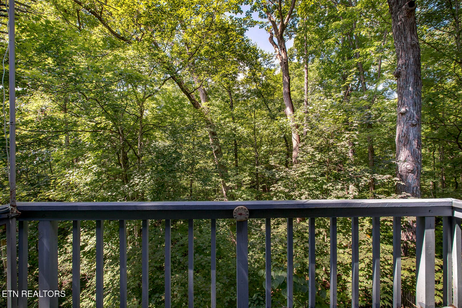 30_BluebirdCoveLane_1560_MasterDeck - 1560 Bluebird Cove Lane, Sevierville, TN 37862