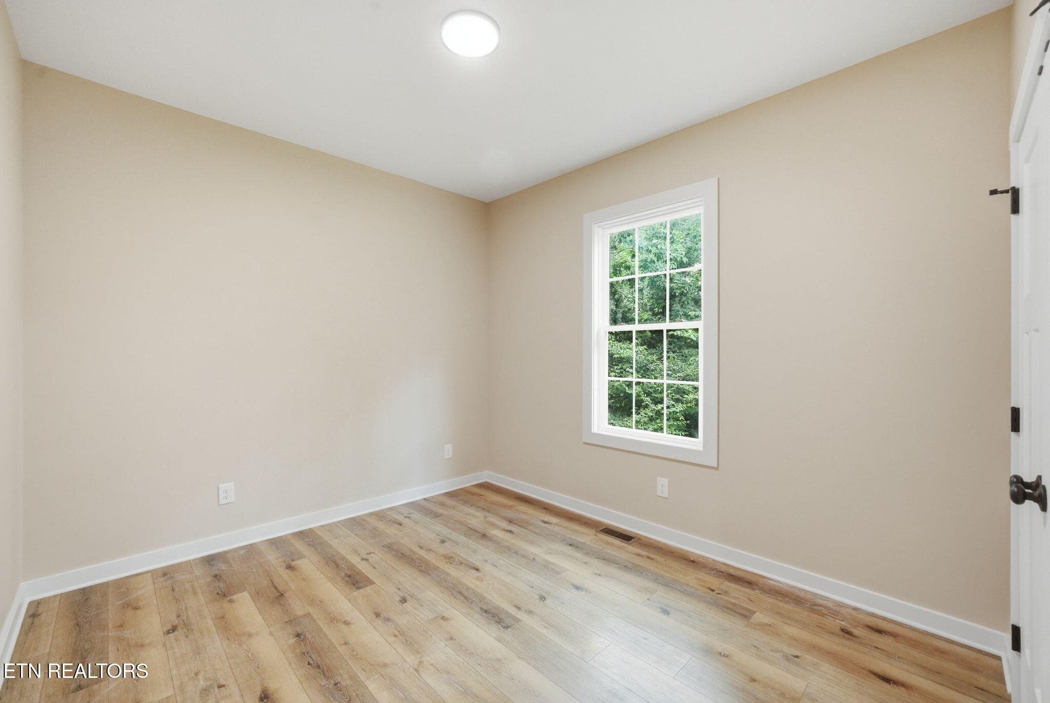 4-web-or-mls-011_DSC02276 - 3756 Thornton Drive, Kingsport, TN 37664, Kingsport
