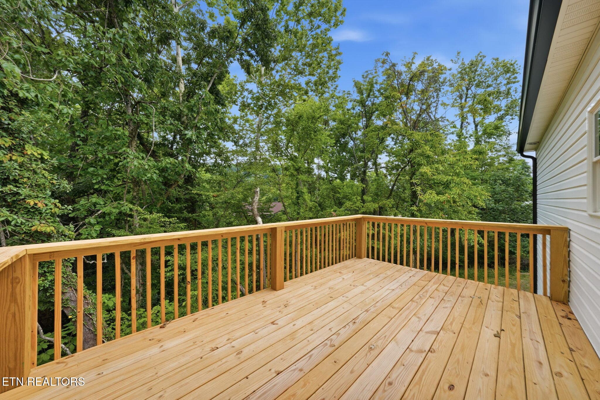10-web-or-mls-020_DSC02306 - 3756 Thornton Drive, Kingsport, TN 37664, Kingsport