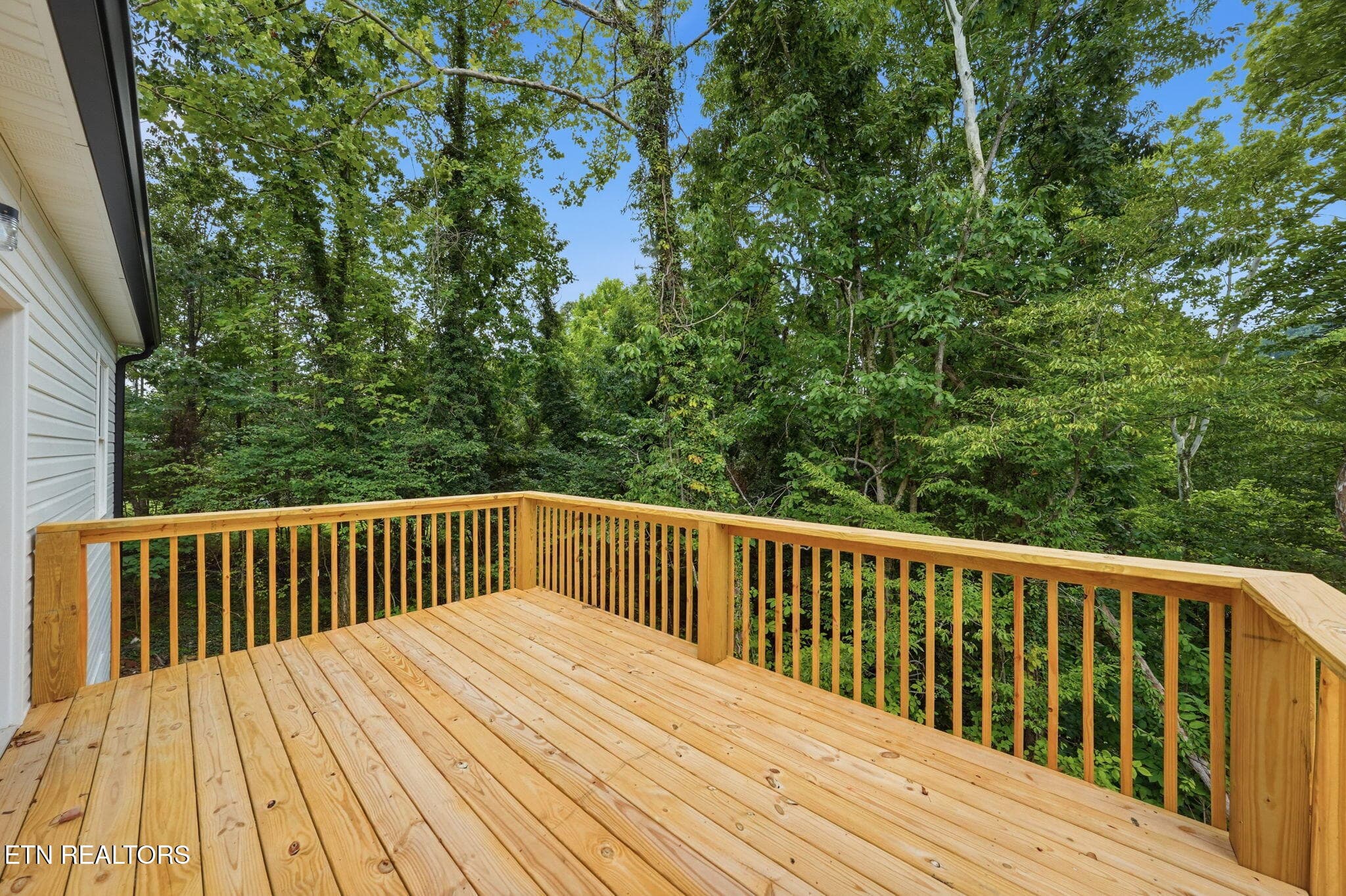13-web-or-mls-021_DSC02311 - 3756 Thornton Drive, Kingsport, TN 37664, Kingsport