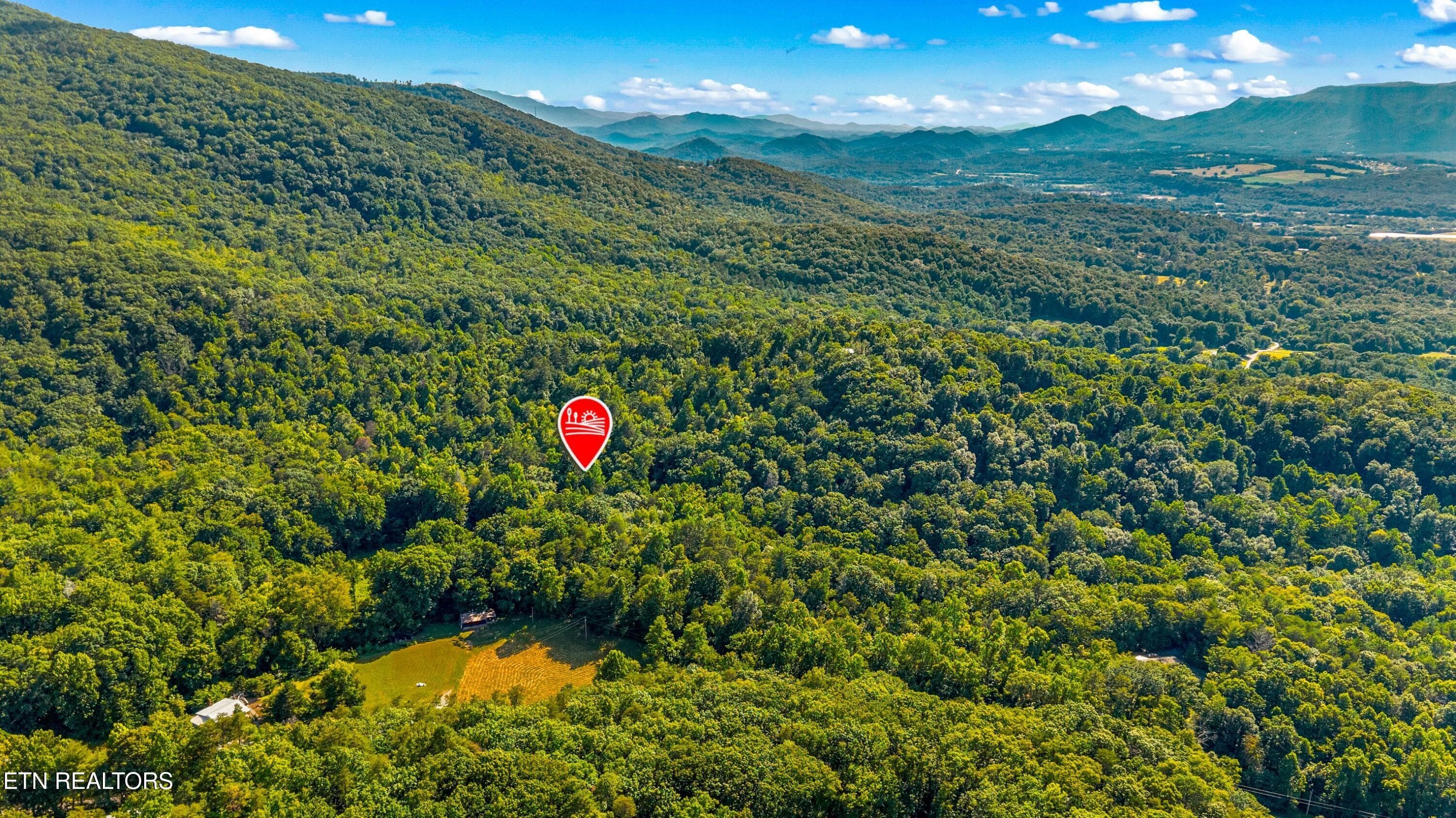 002-1549HallsTopRd-Newport-TN-37821-SMAL - 15 Acres Halls Top Rd, Newport, TN 37821