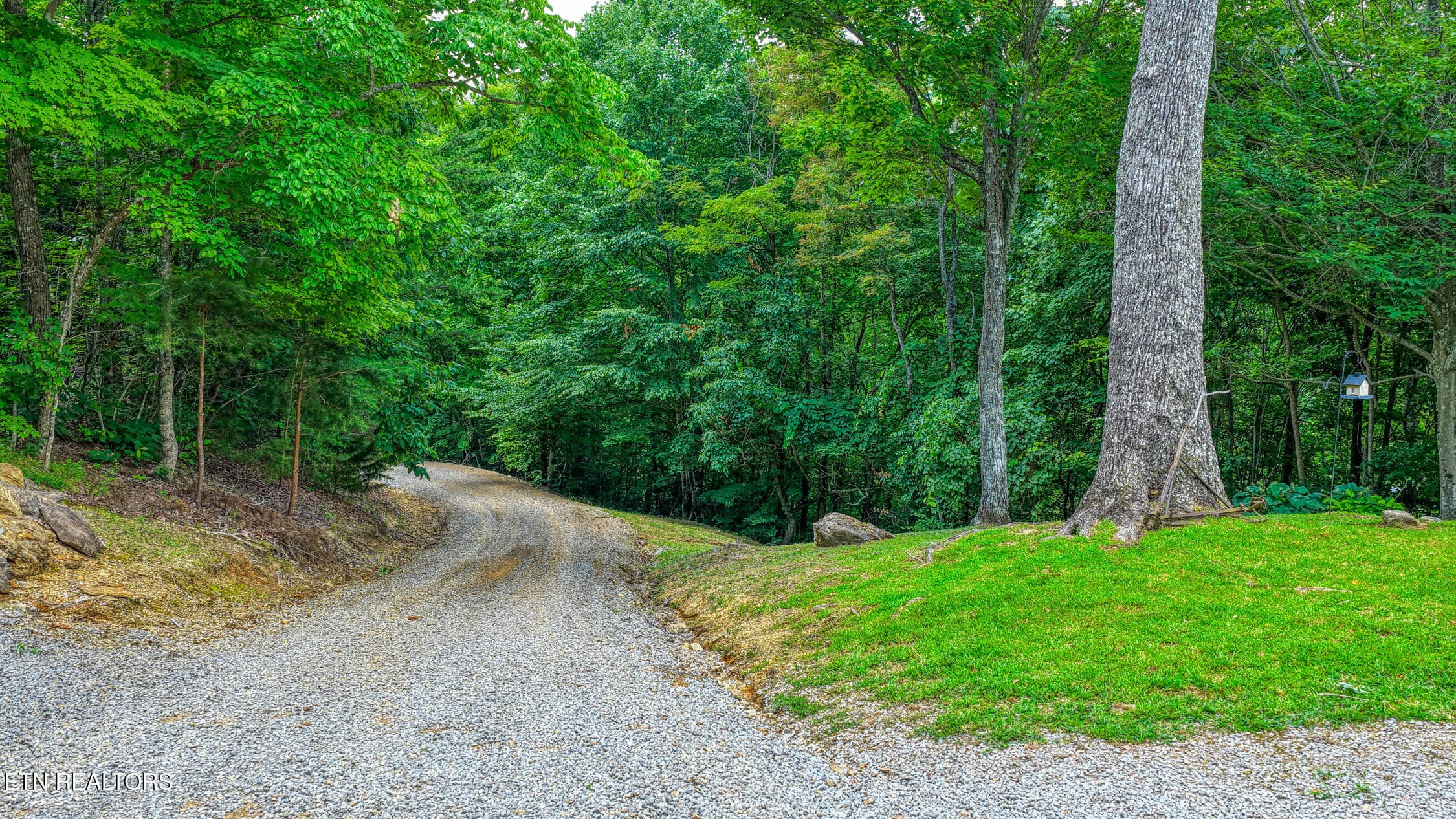 5316 Hwy 66. Sneedv MLSa (26 of 61) - 5316 Tennessee 66, Sneedville, TN 37869, Sneedville