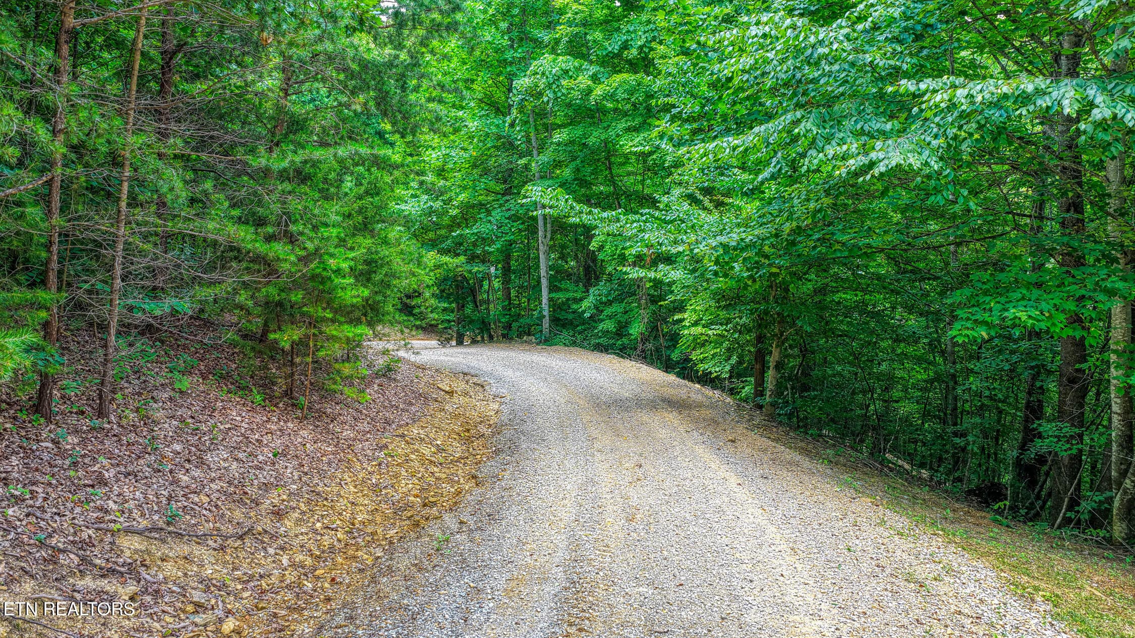 5316 Hwy 66. Sneedv MLSa (27 of 61) - 5316 Tennessee 66, Sneedville, TN 37869, Sneedville