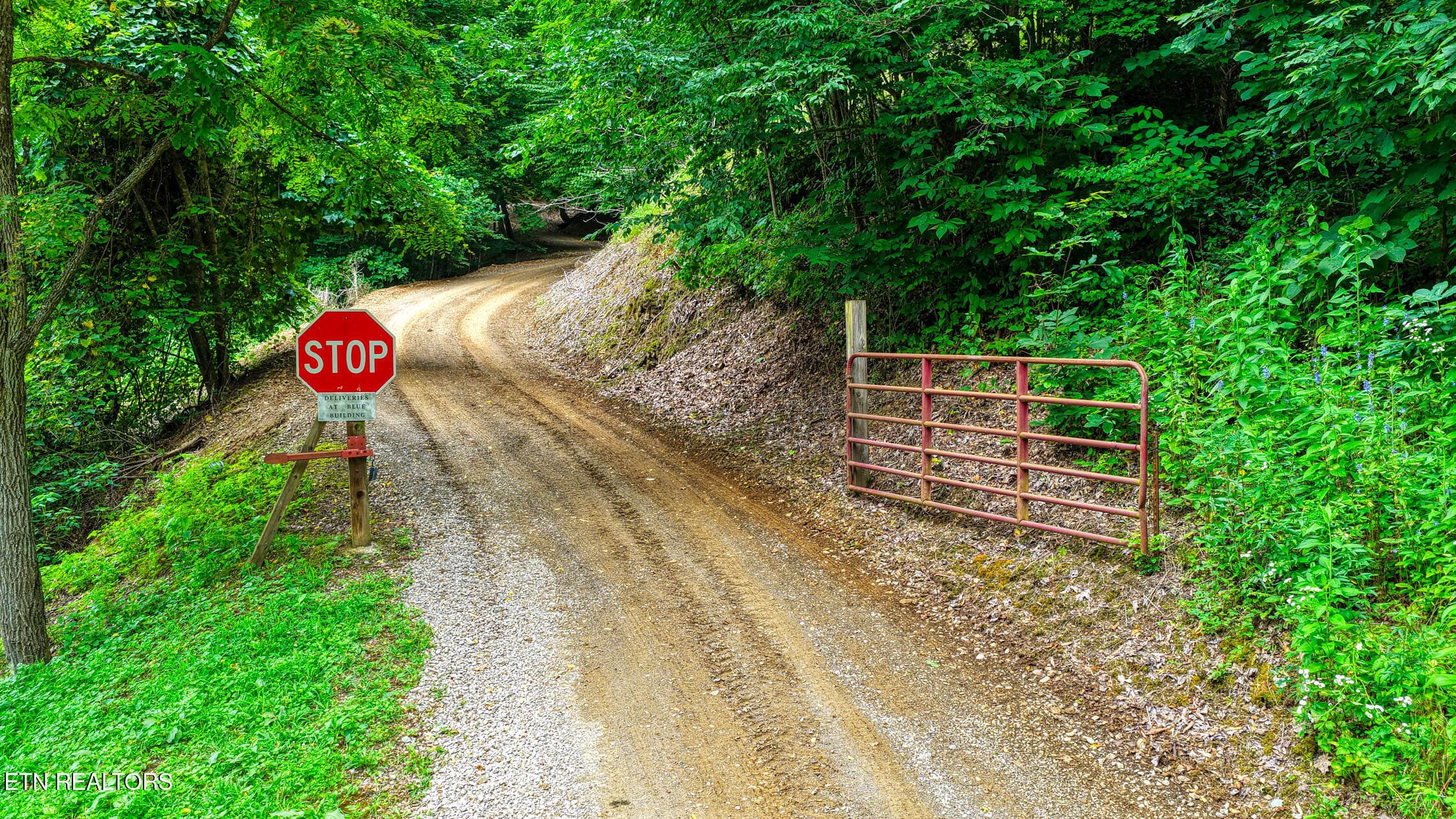 5316 Hwy 66. Sneedv MLSa (41 of 61) - 5316 Tennessee 66, Sneedville, TN 37869, Sneedville
