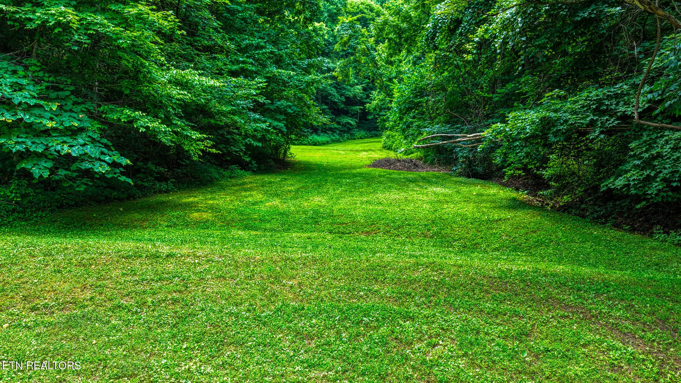 5316 Hwy 66. Sneedv MLSa (47 of 61) - 5316 Tennessee 66, Sneedville, TN 37869, Sneedville